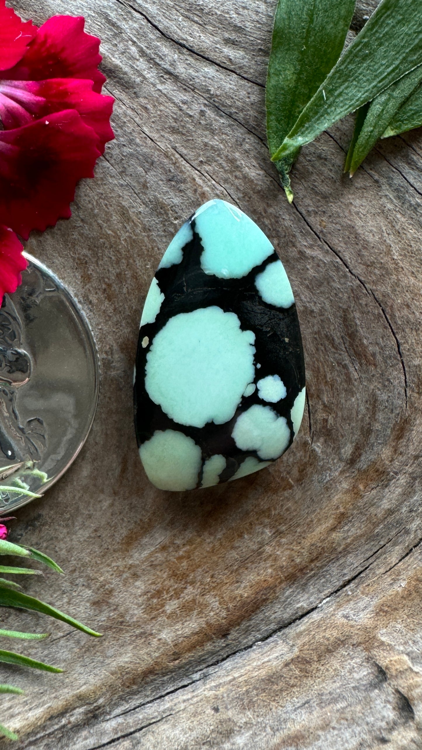 Ultra High Grade Desert Bloom (black)