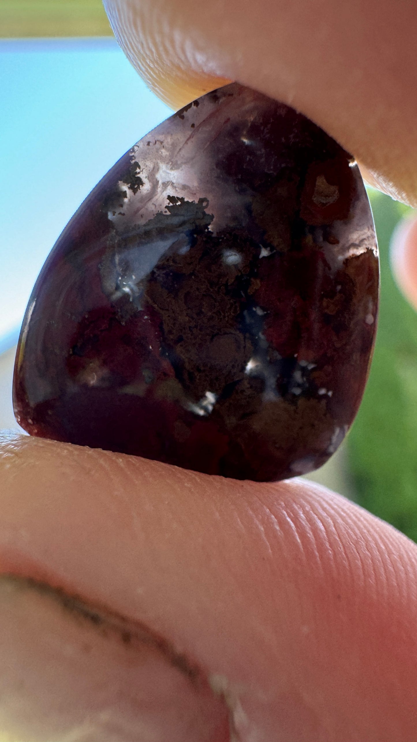 Ocotillo Agate - Josh Brody Discovery- insane detail!!