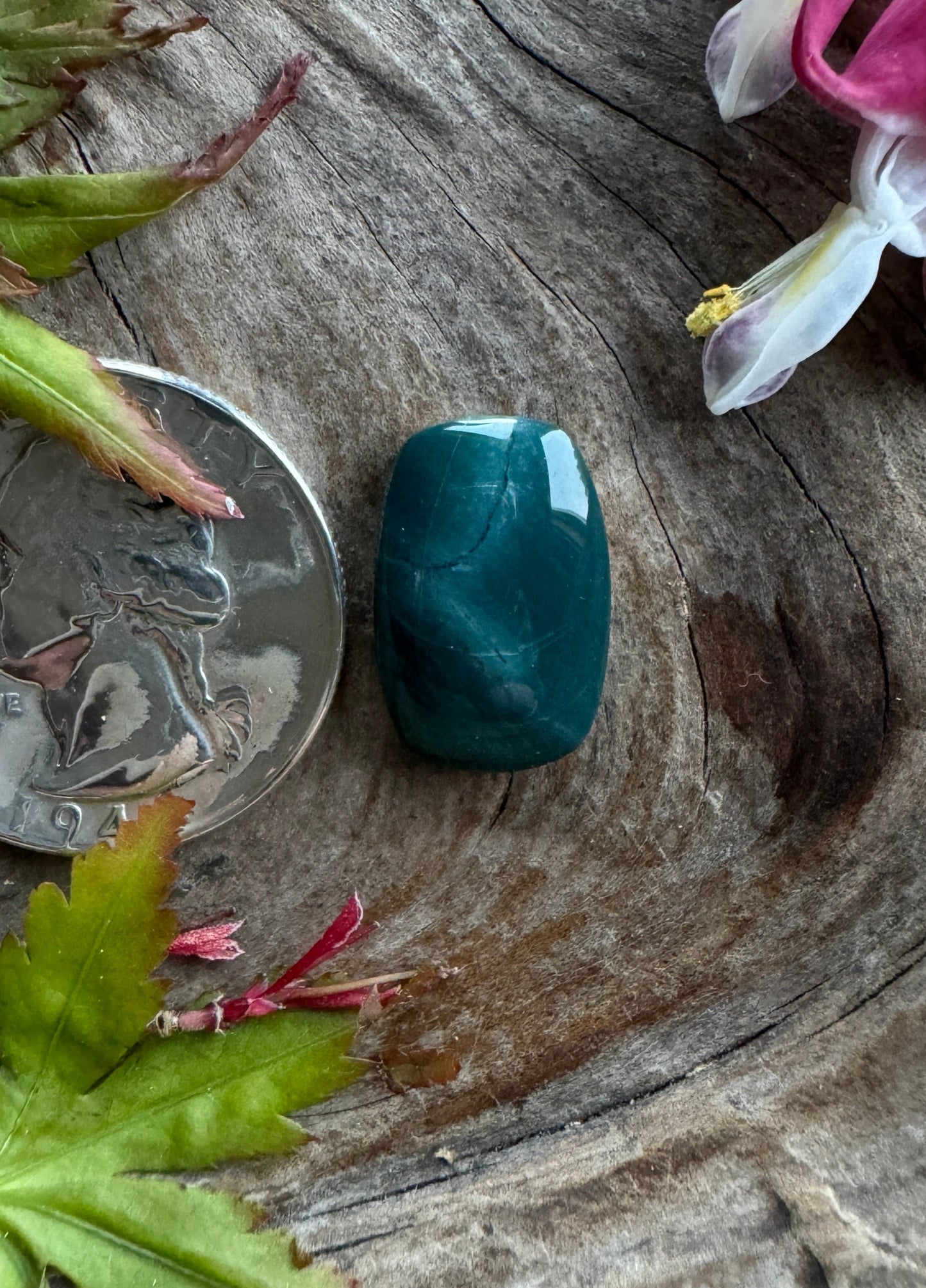 Skaggs Jasper