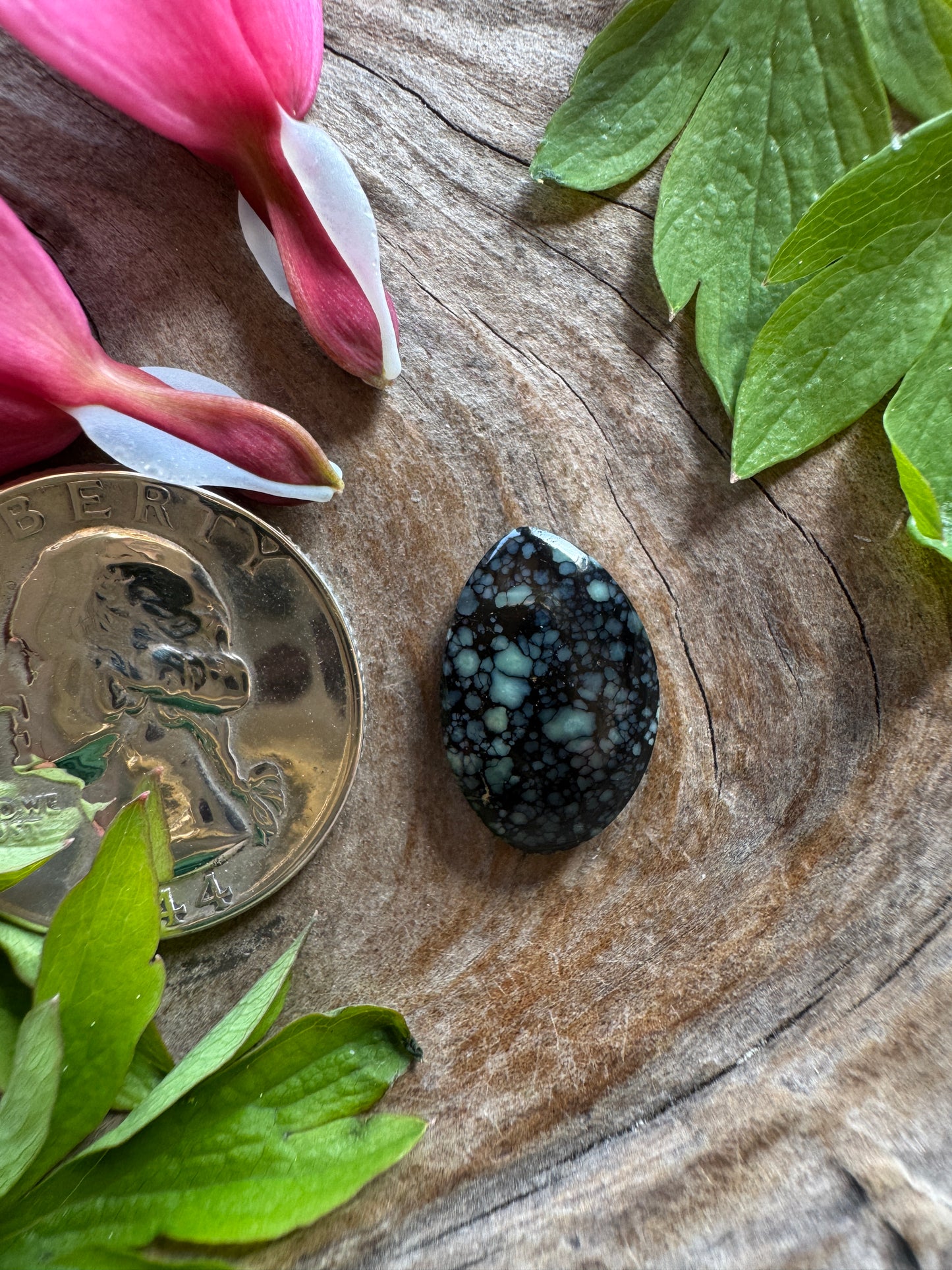 100% NATURAL/unaltered Desert Bloom Variscite