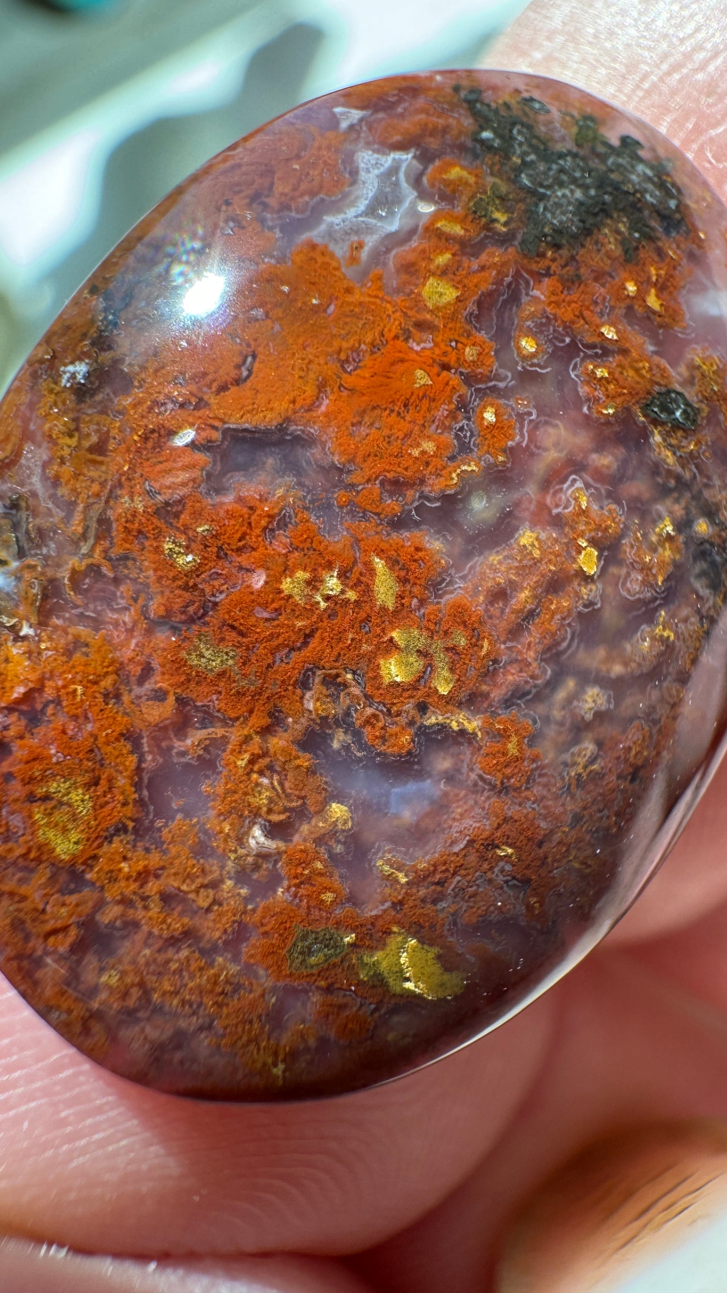 Ocotillo Agate - Josh Brody Discovery- insane detail!!