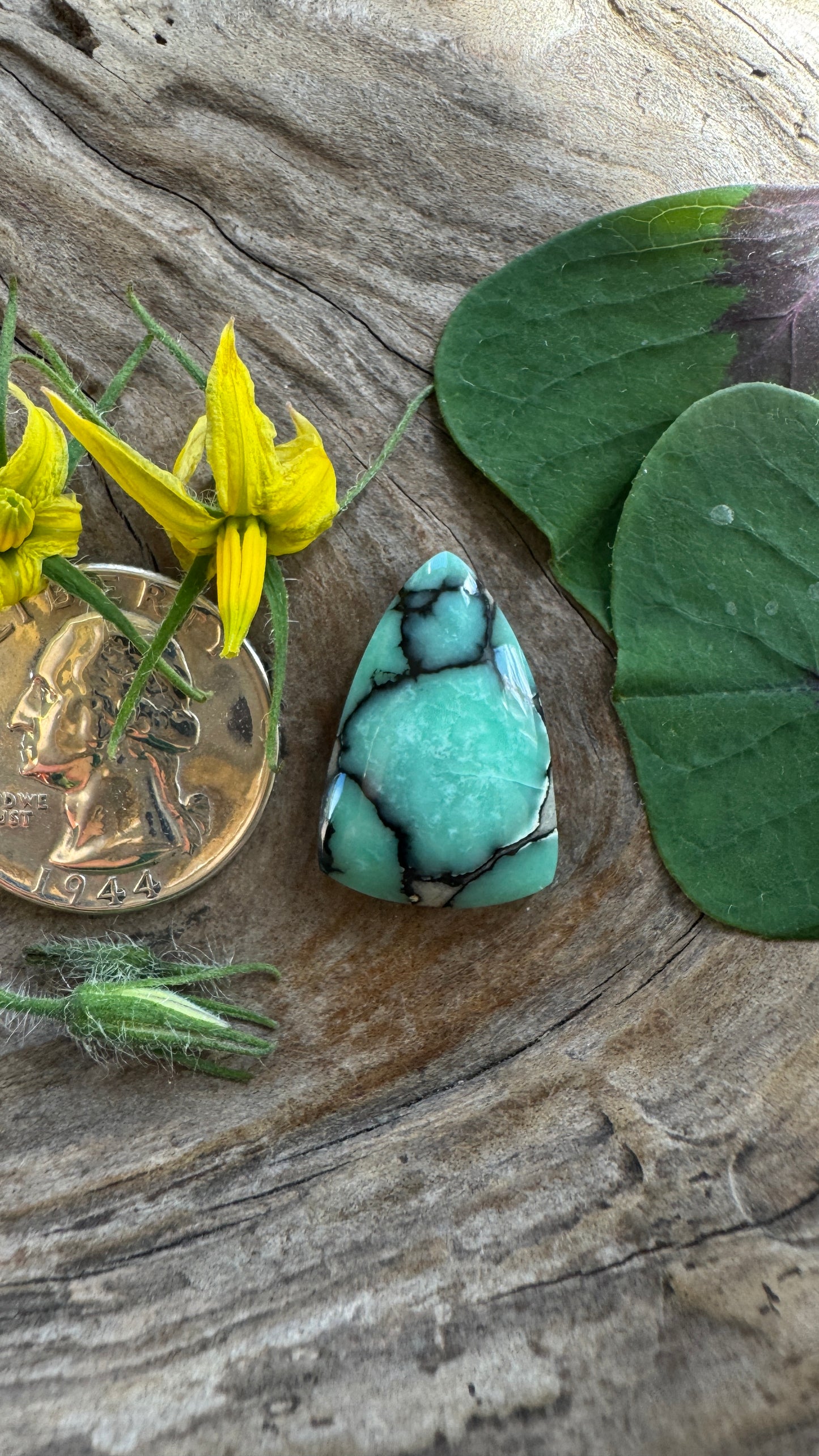 Desert Bloom Variscite
