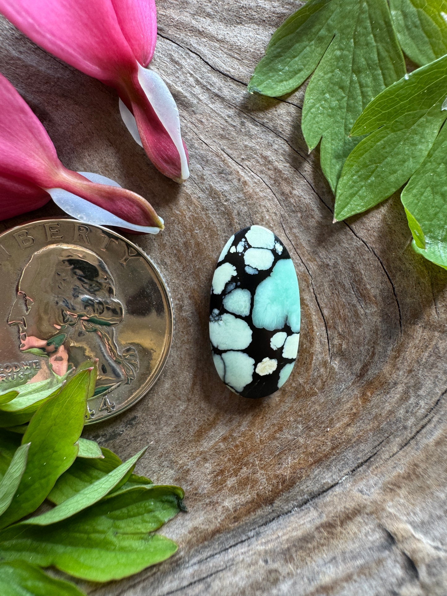 100% NATURAL/unaltered Desert Bloom Variscite - (black bloom)