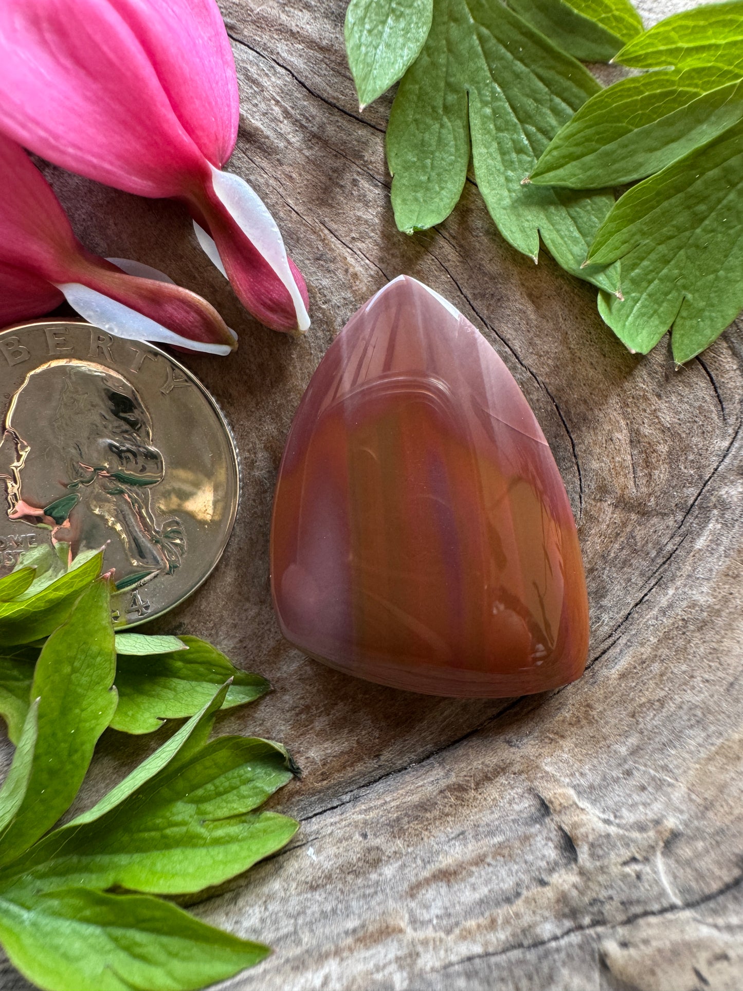 Willow Creek Jasper - Idaho - Insane coloring - healed fracture