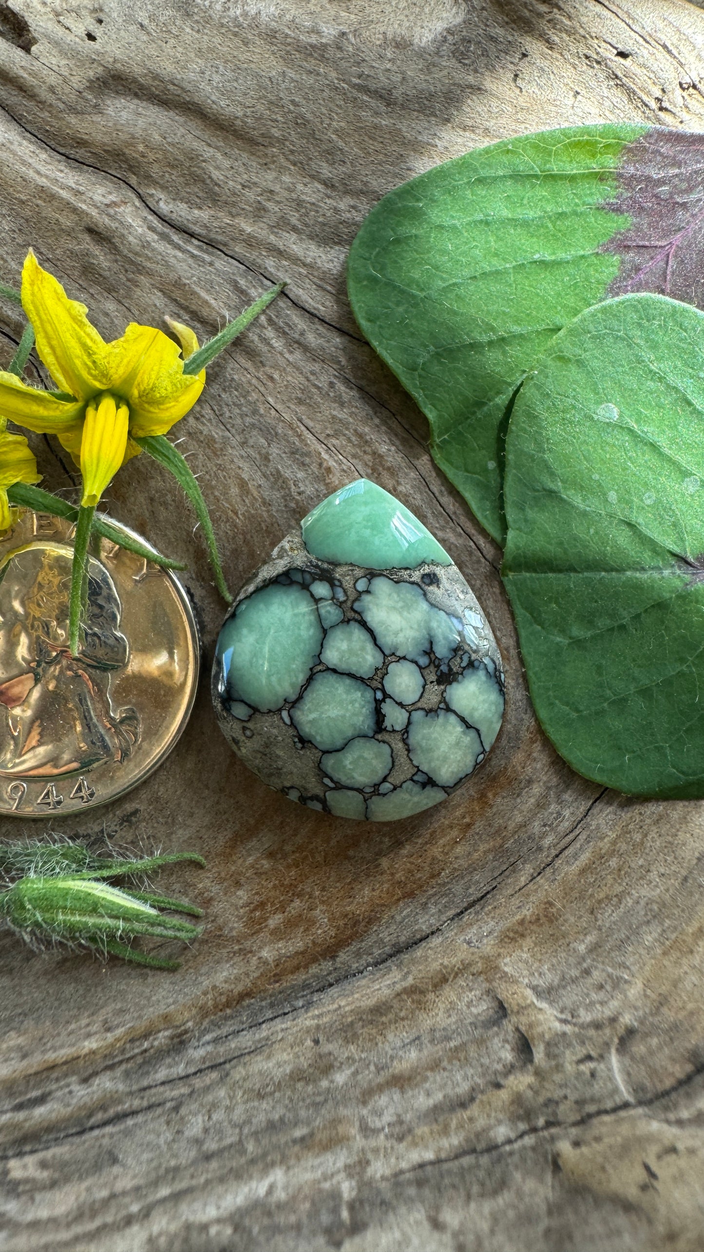 Desert Bloom Variscite