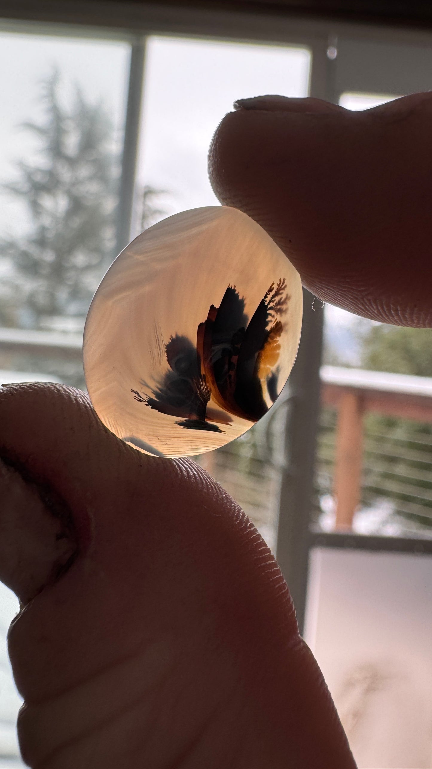 Rare Copco Dendrite Agate - Oregon