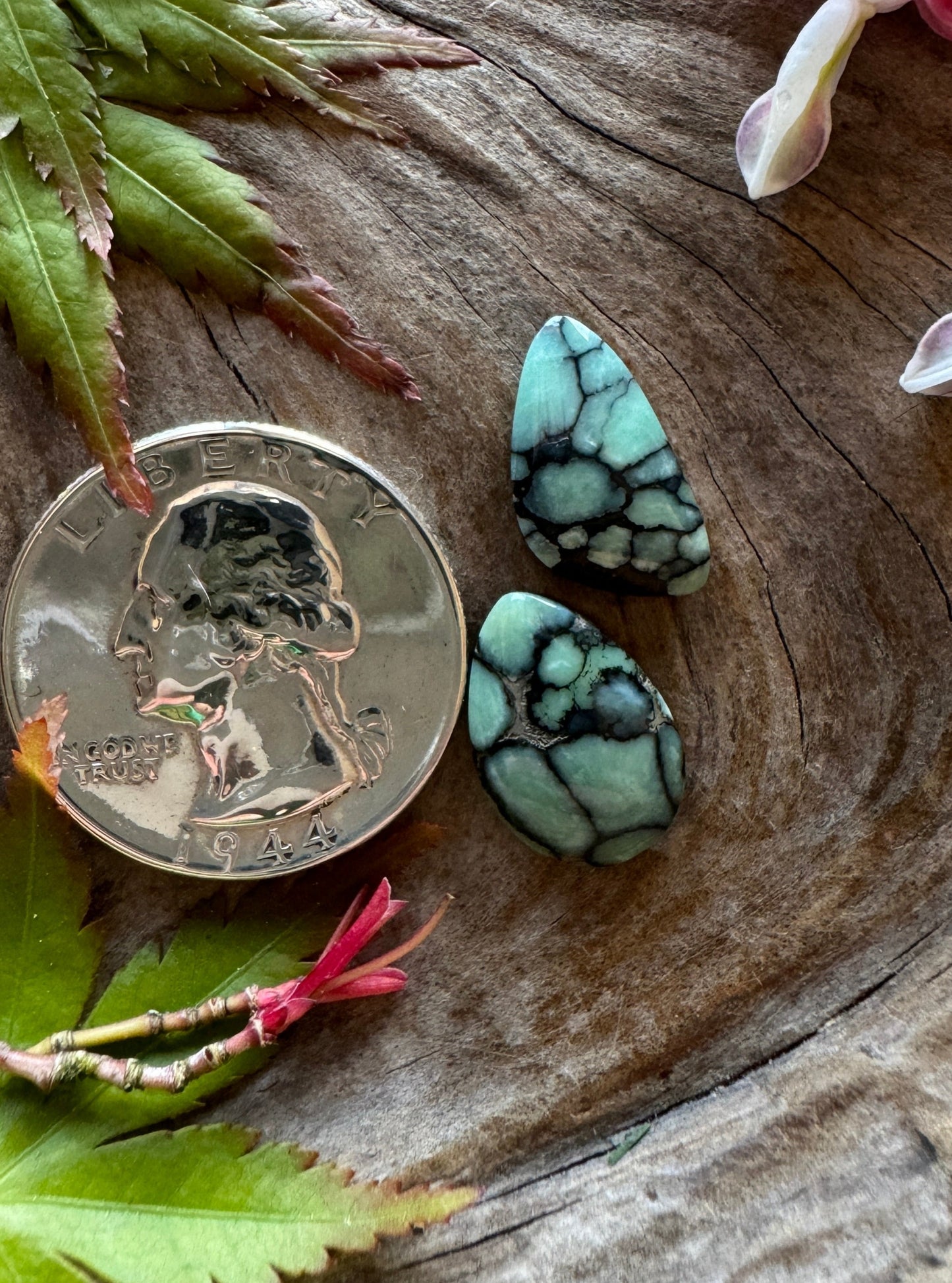 Desert Bloom Variscite Duo