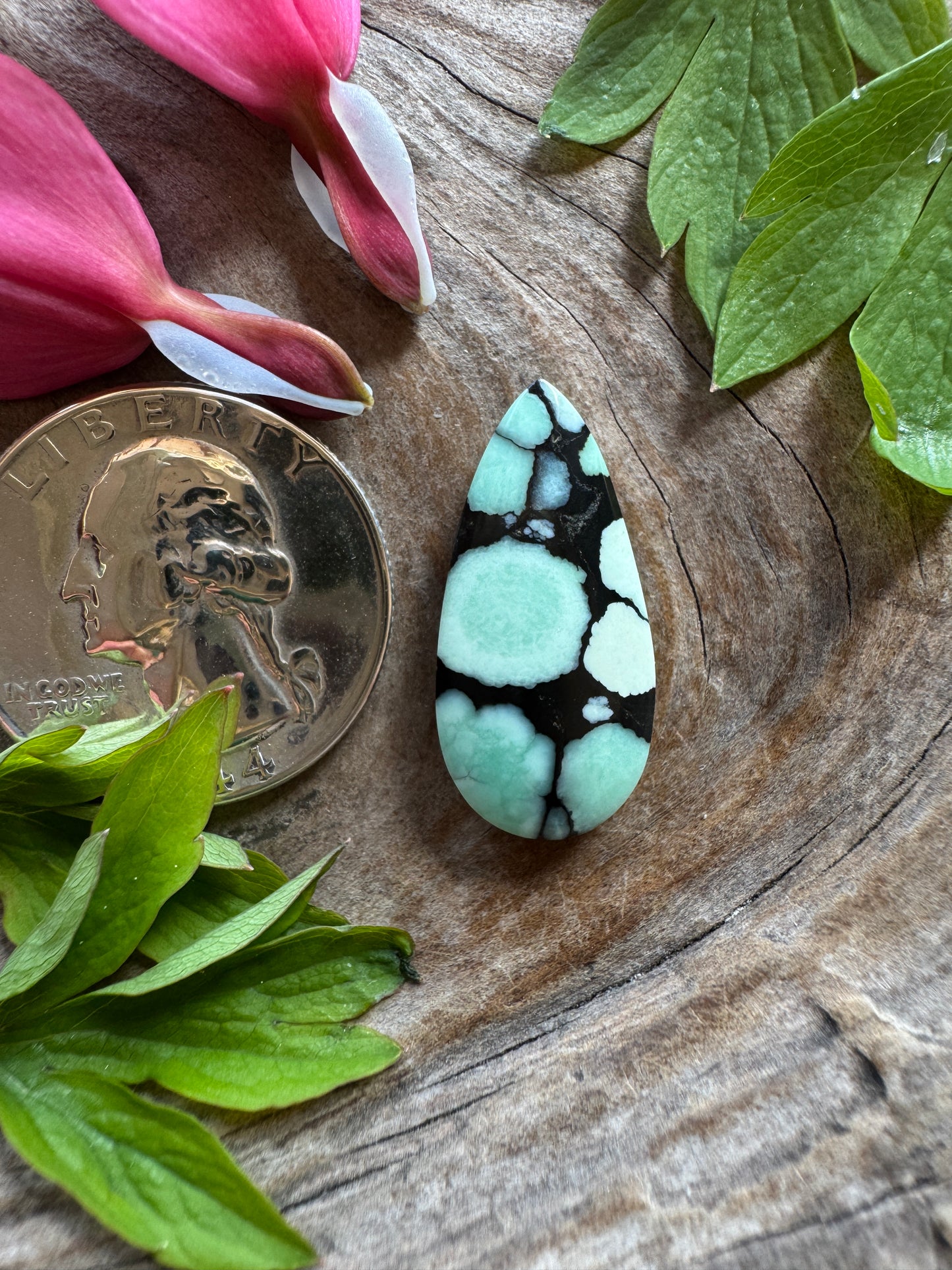 100% NATURAL/unaltered Desert Bloom Variscite - (black bloom)