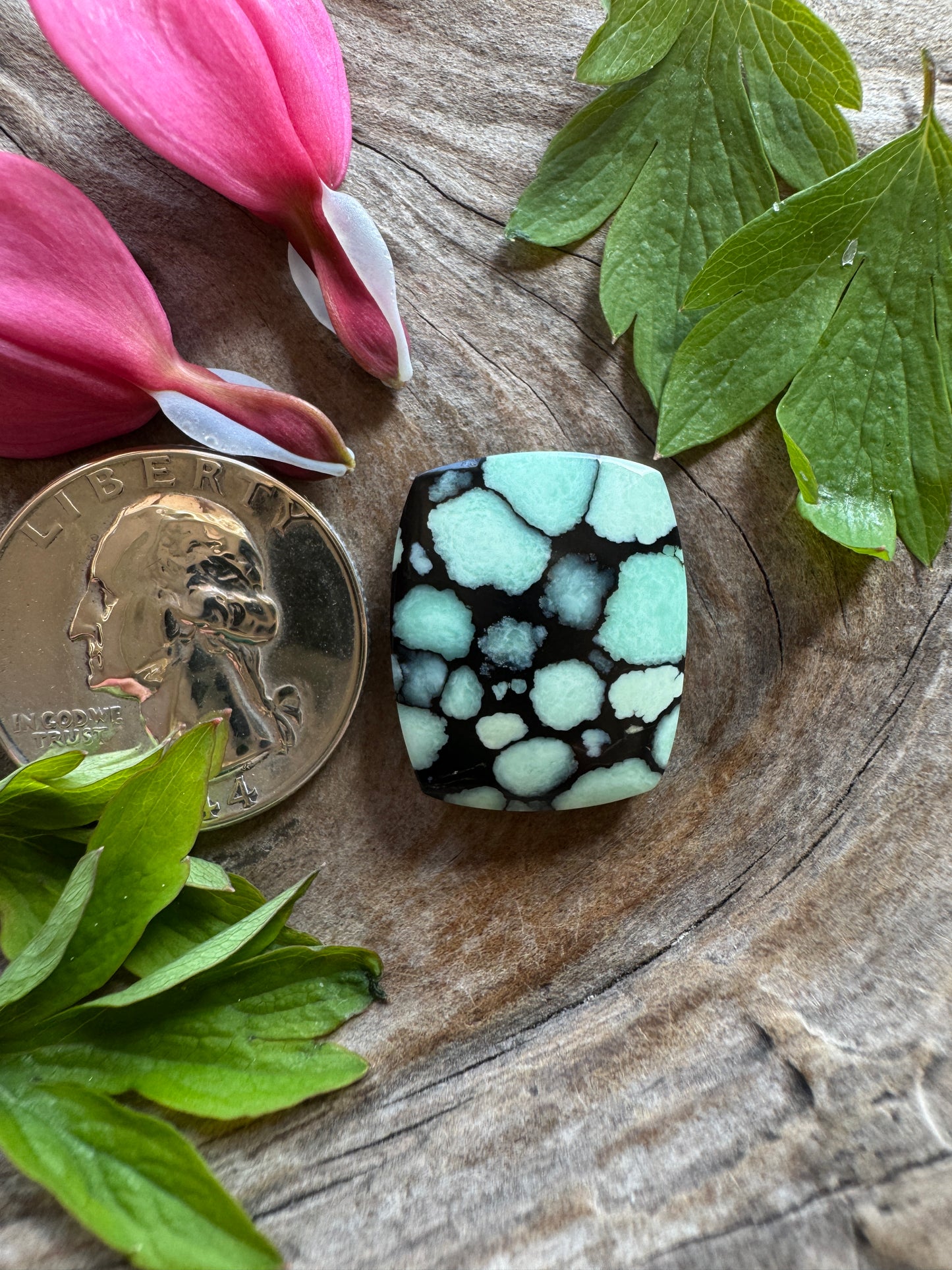 100% NATURAL/unaltered Desert Bloom Variscite - (black bloom)