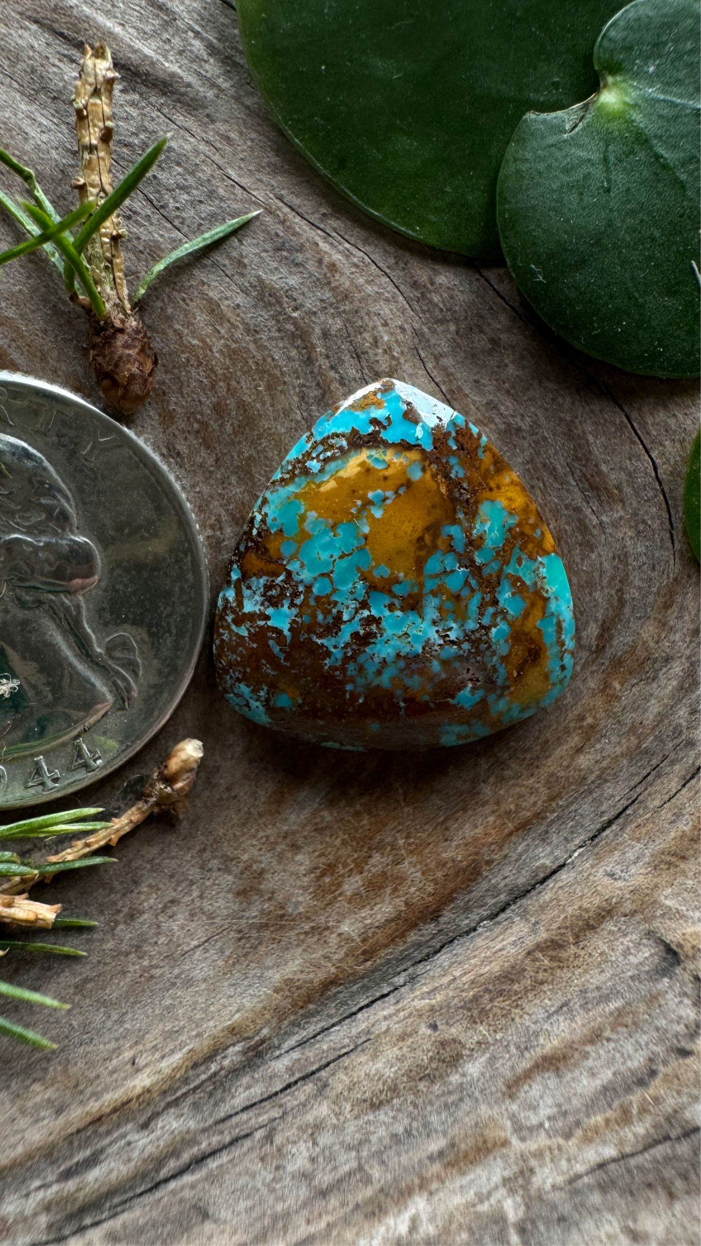 Rising Phoenix Turquoise