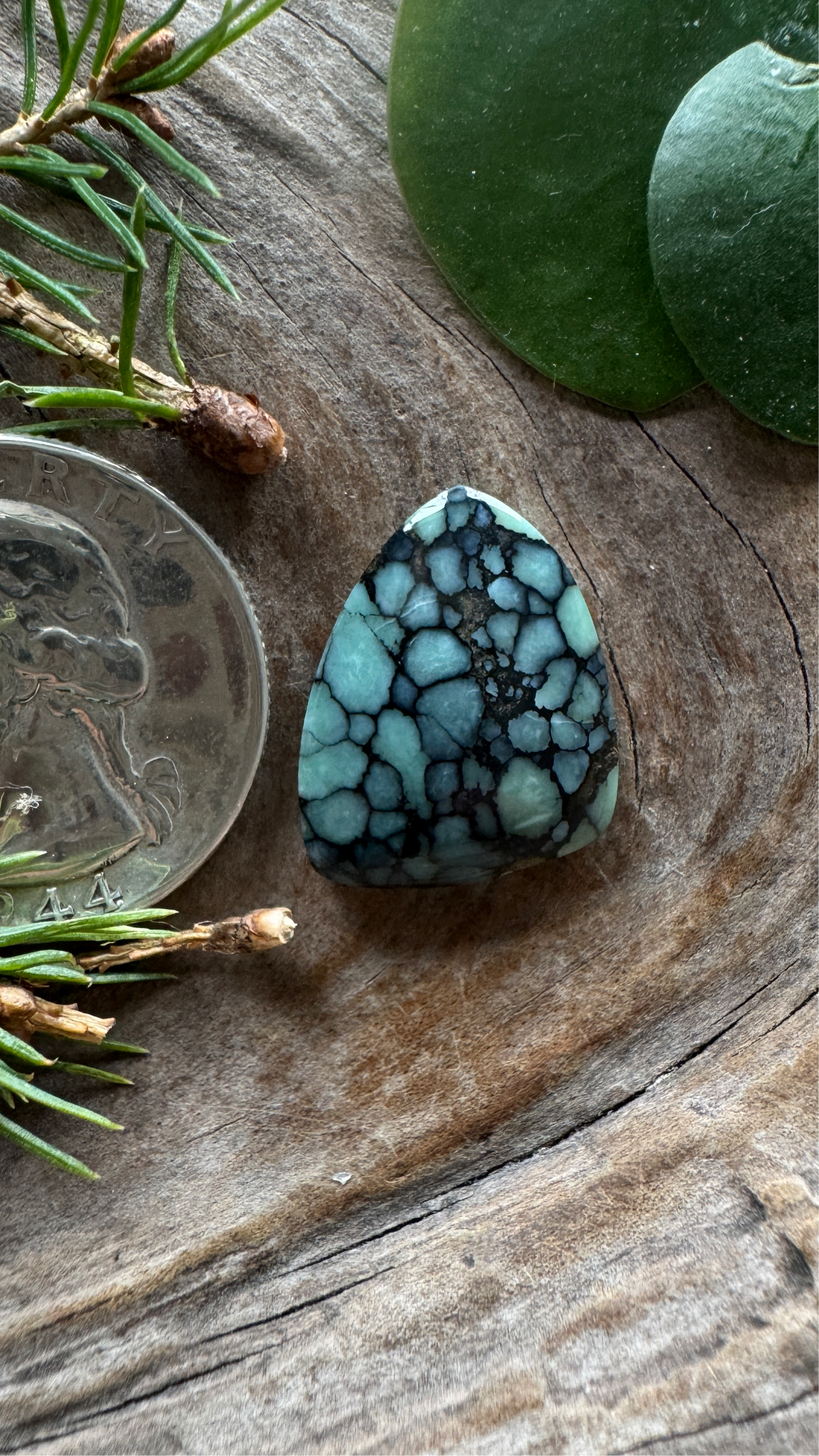 Desert Bloom Variscite - Top shelf, all natural
