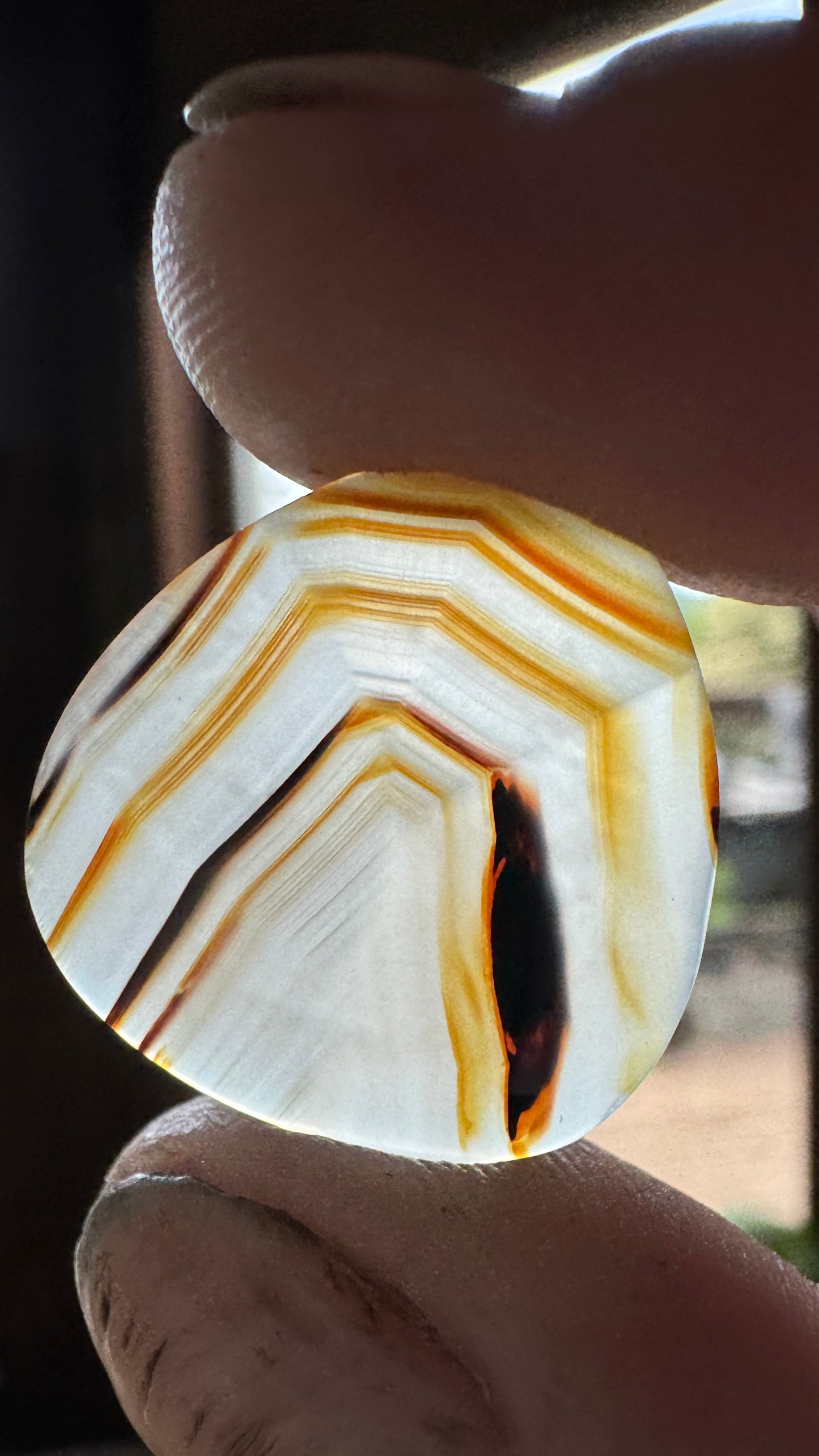 Montana Agate