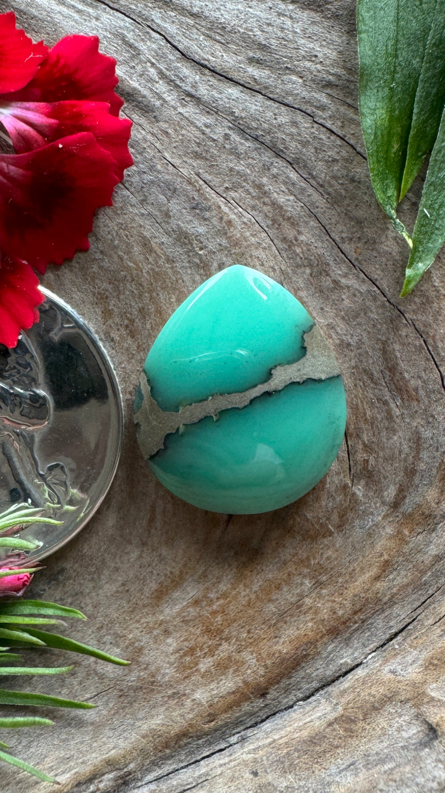 Desert Bloom Variscite (gemmy)