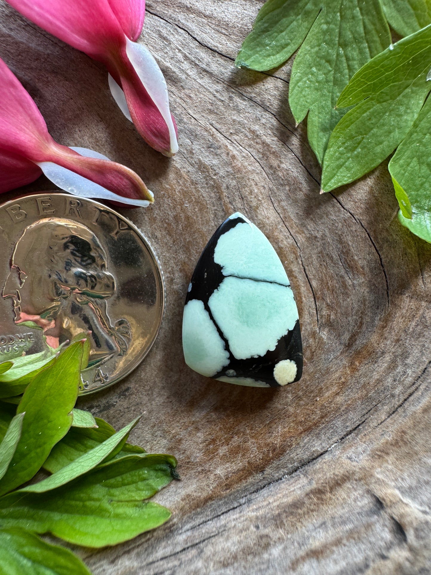 100% NATURAL/unaltered Desert Bloom Variscite - (black bloom)