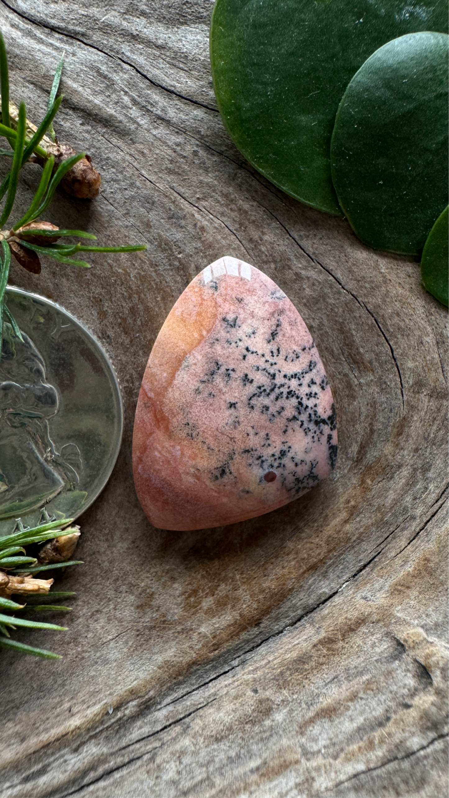 Polka Dot Jasper - Oregon