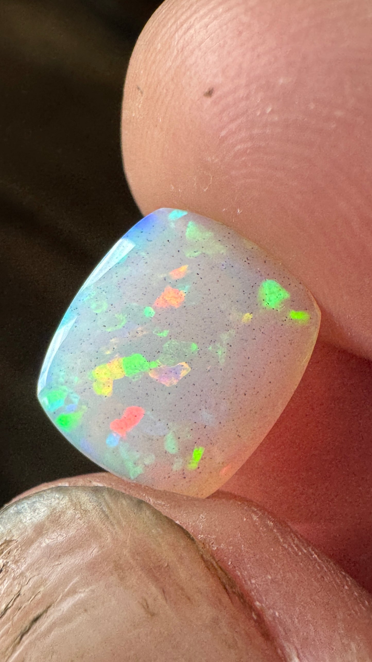 Welo Opal -FLASHY