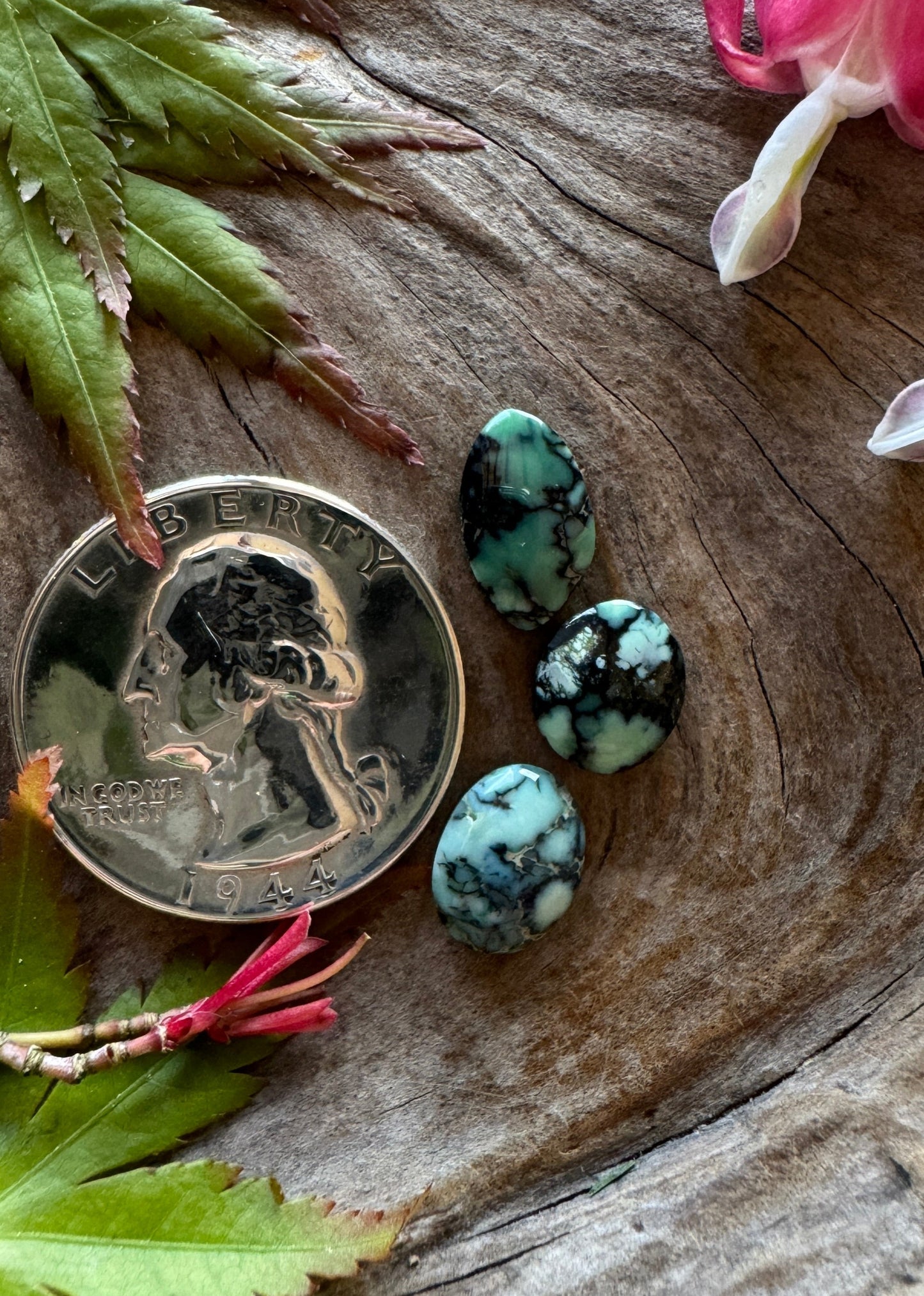 Midori/Colina Verde Trio