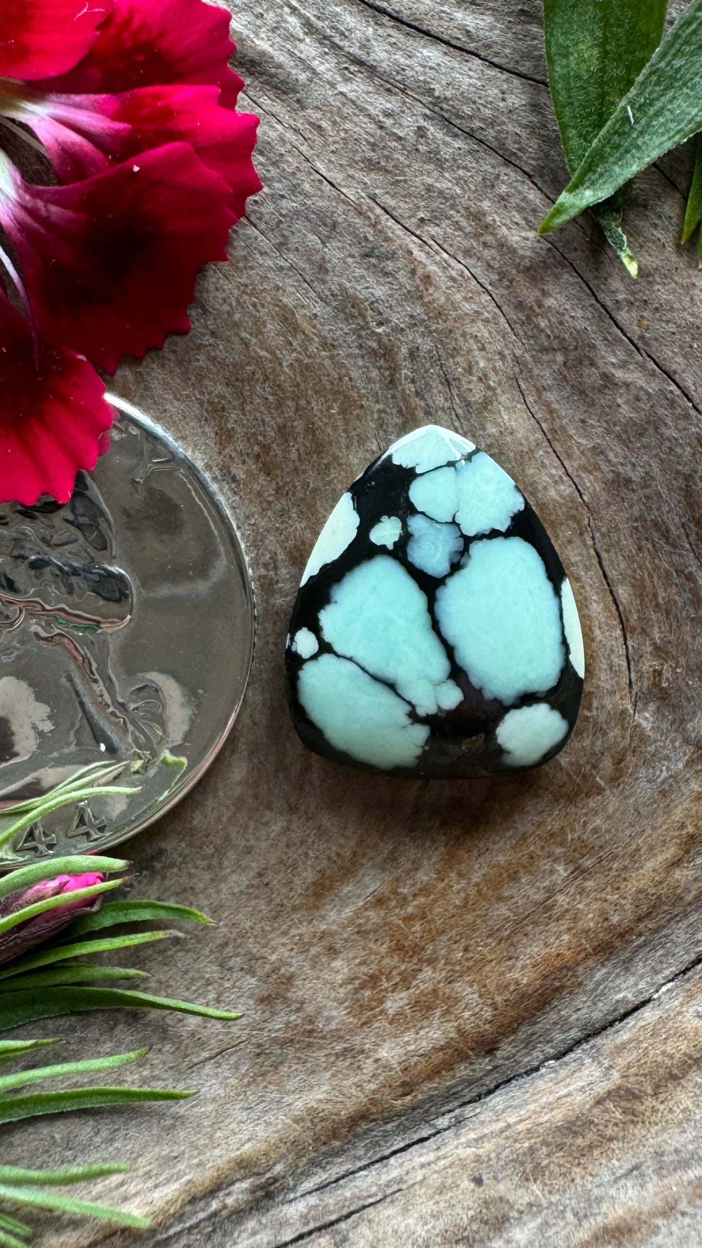 Ultra High Grade Desert Bloom (black) perfect ringer