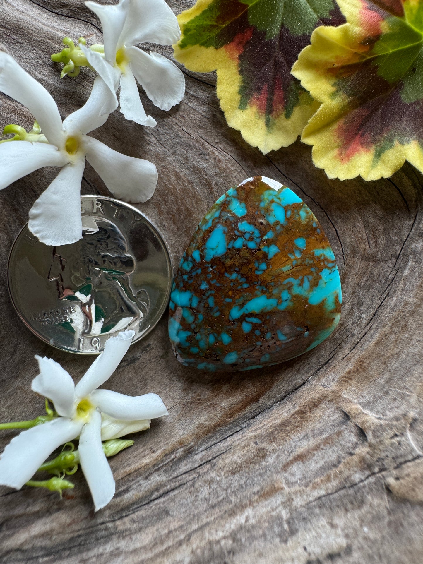 Rising Phoenix Turquoise - 2019 Richhhh and Big!