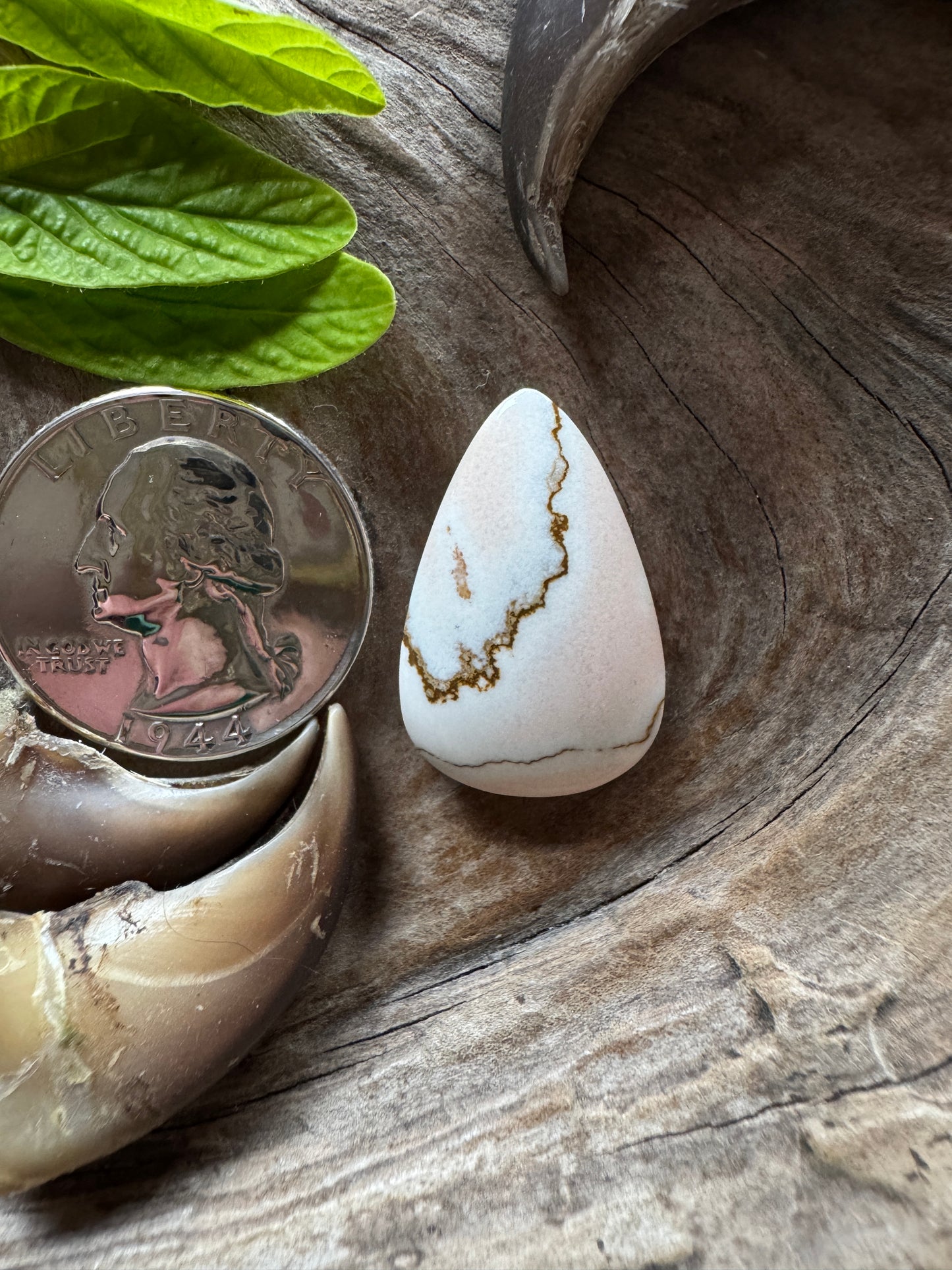 Oregon Sunset Jasper