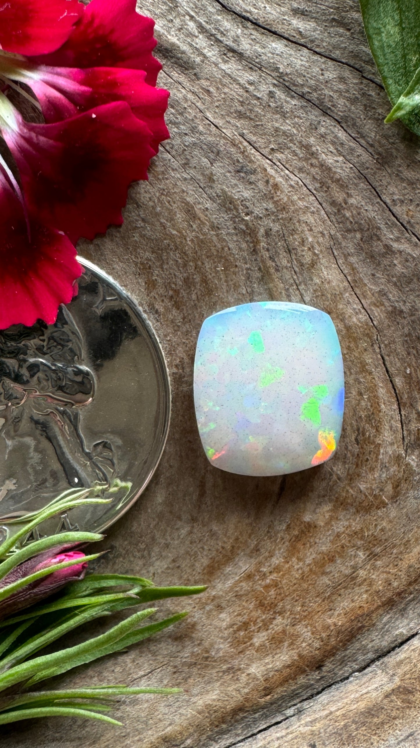 Welo Opal -FLASHY