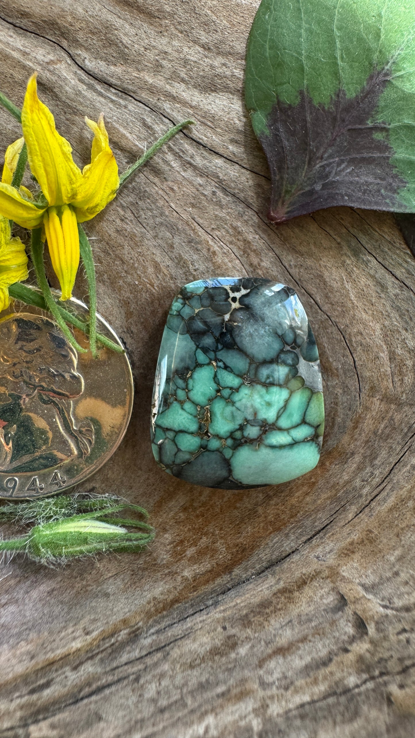 7D Variscite - SO GOOD!