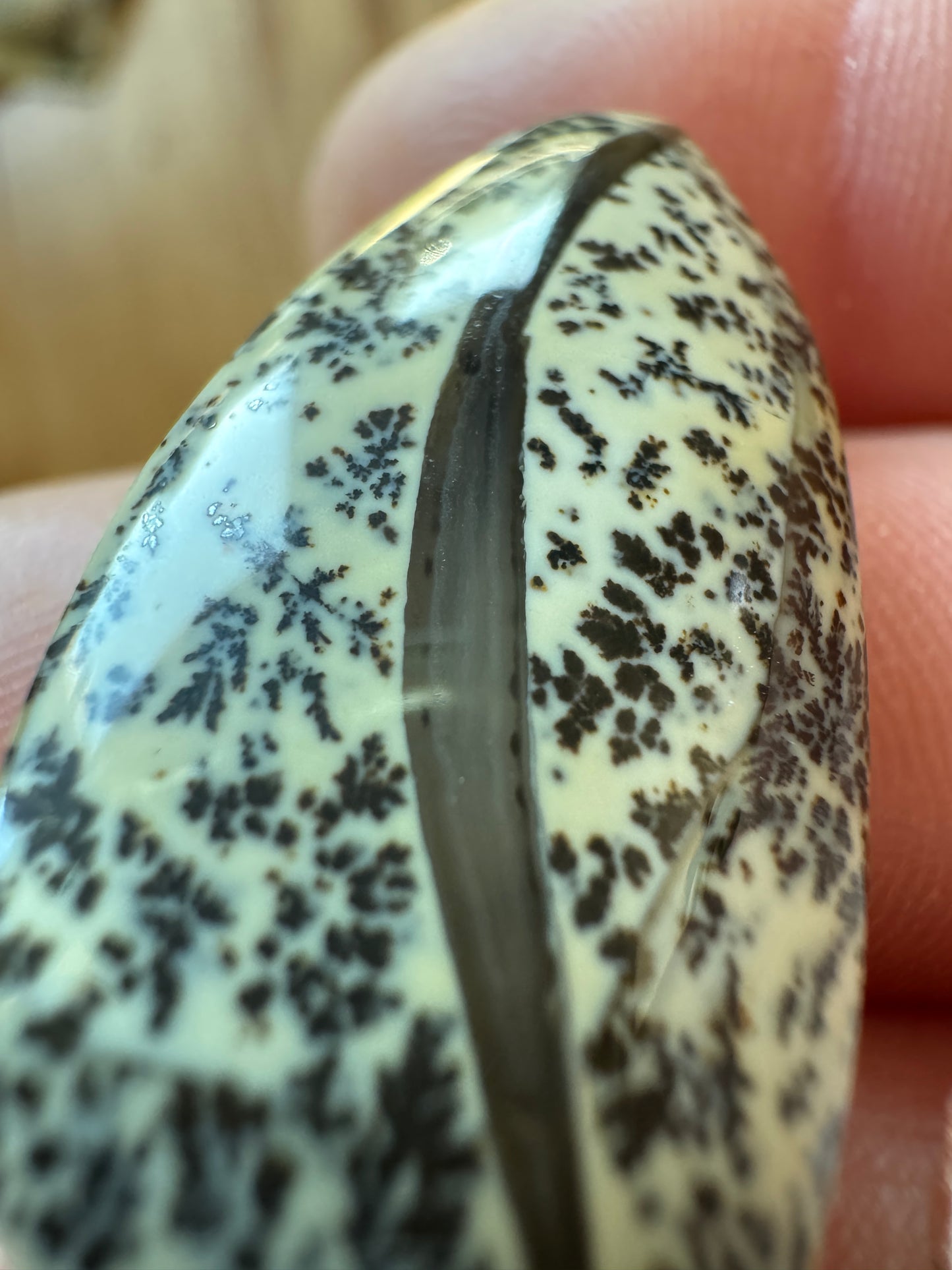 Bonsai Stone - Wyoming