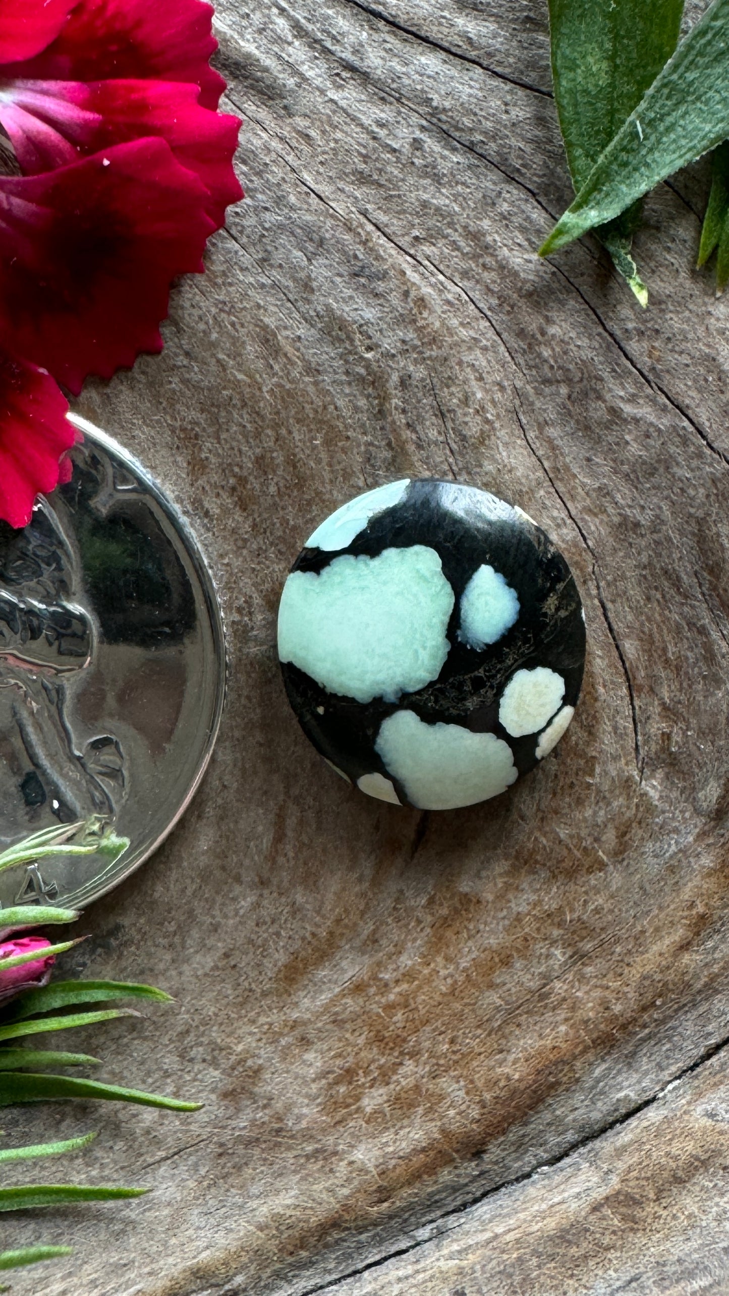 Ultra High Grade Desert Bloom (black) perfect ringer