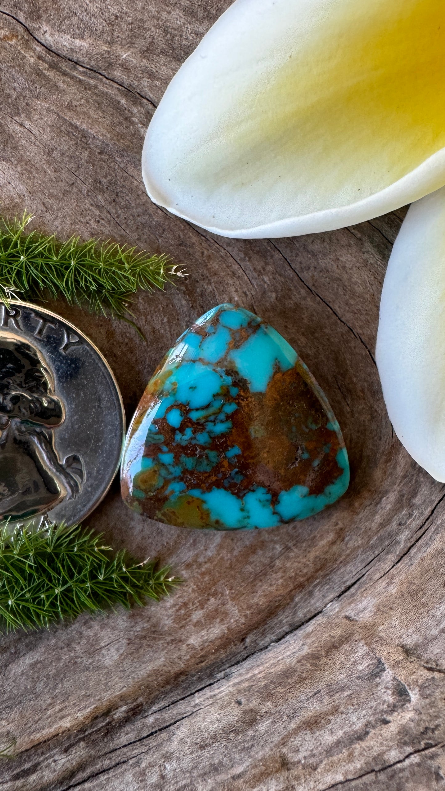 Rising Phoenix Turquoise