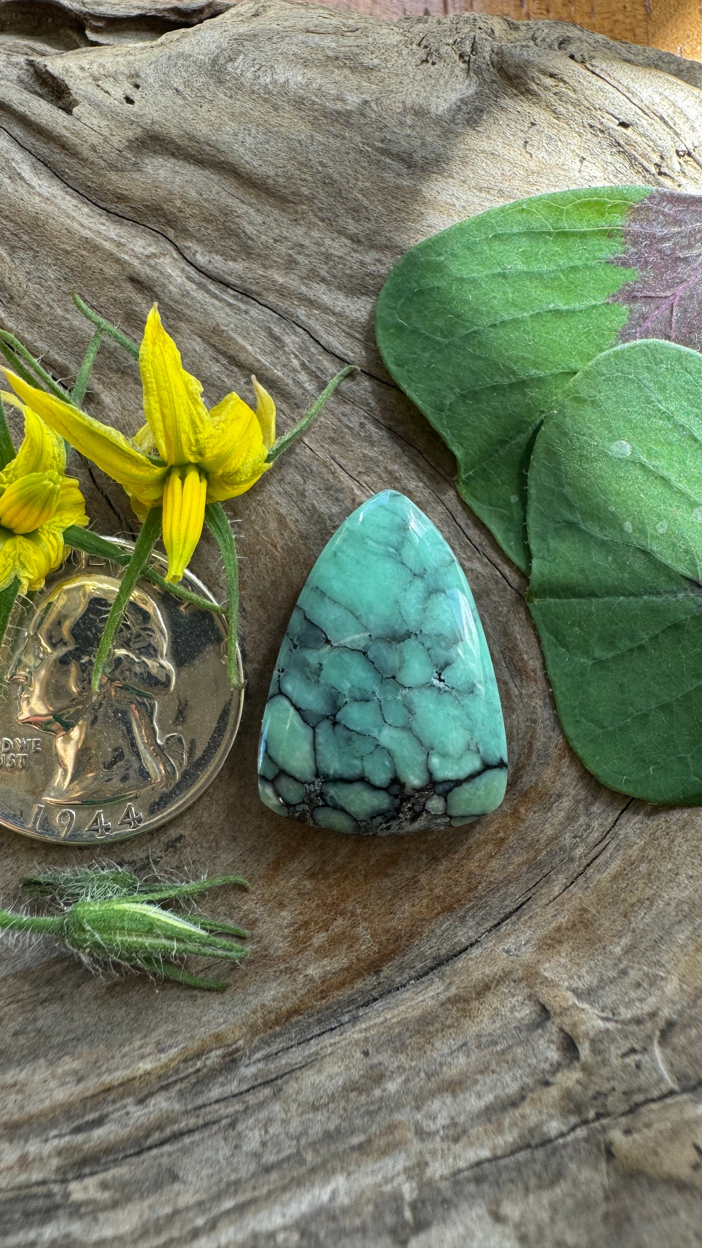 Desert Bloom Variscite