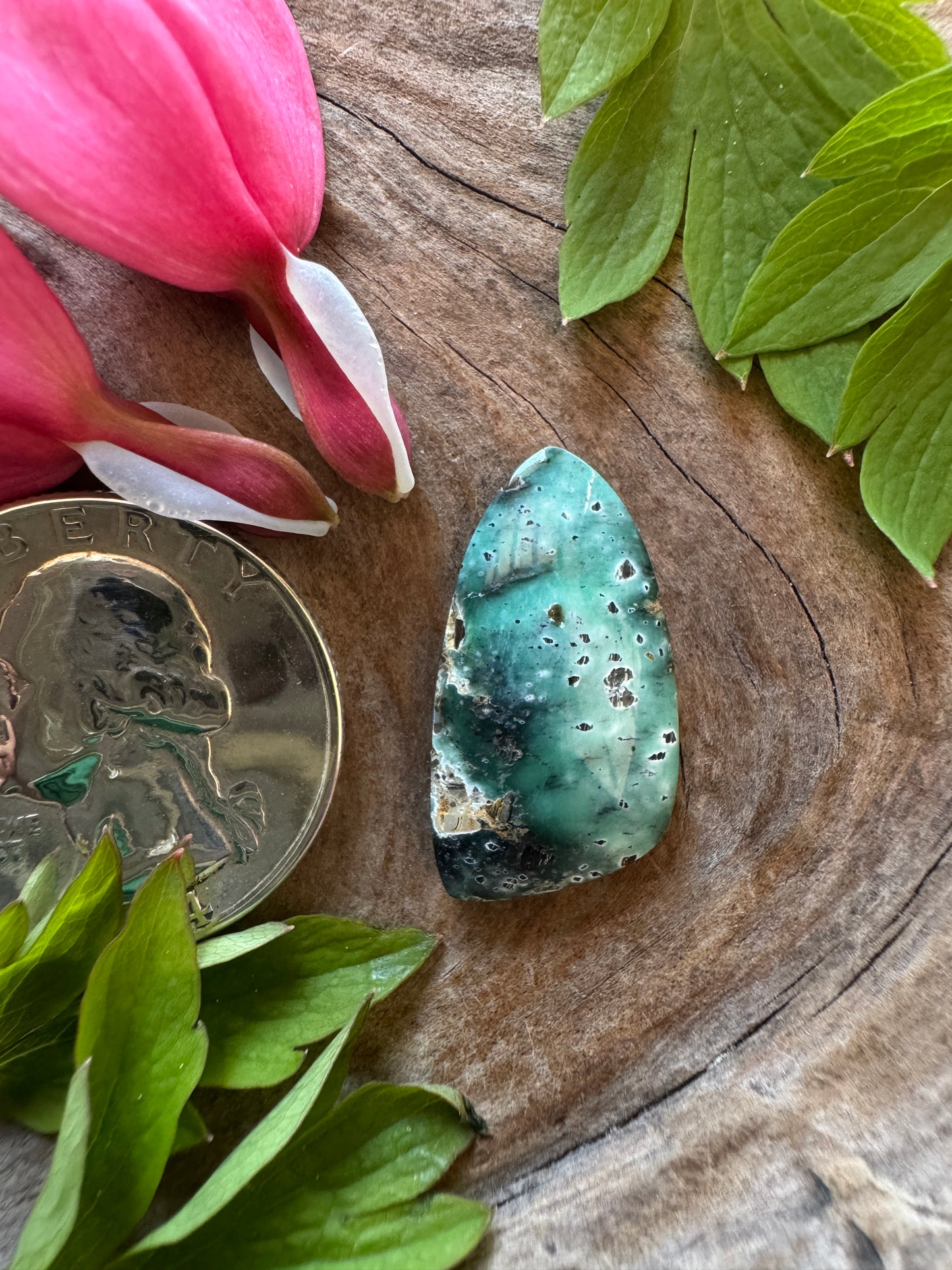 Green Springs Variscite - NV