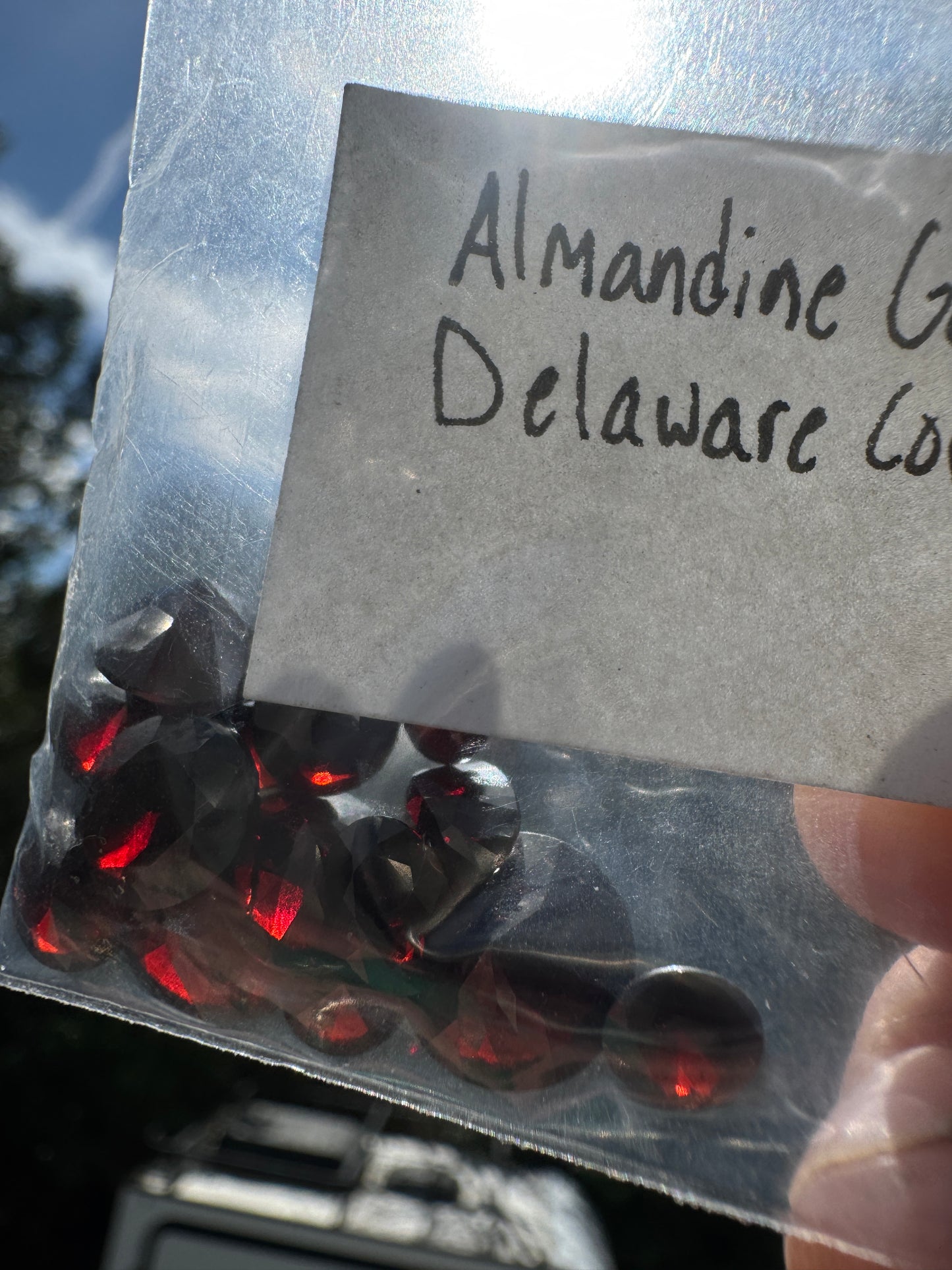 Almandine Garnet Succulent necklace