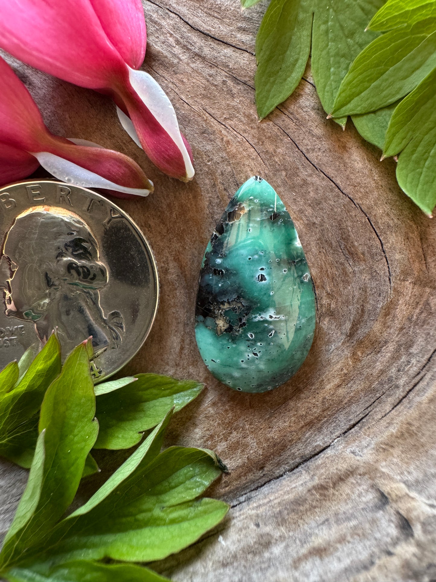 Green Springs Variscite - NV