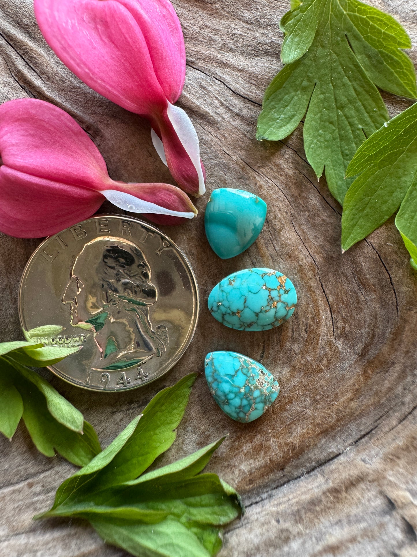 Natural Carico Lake Turquoise Lot- baby nugg cabs