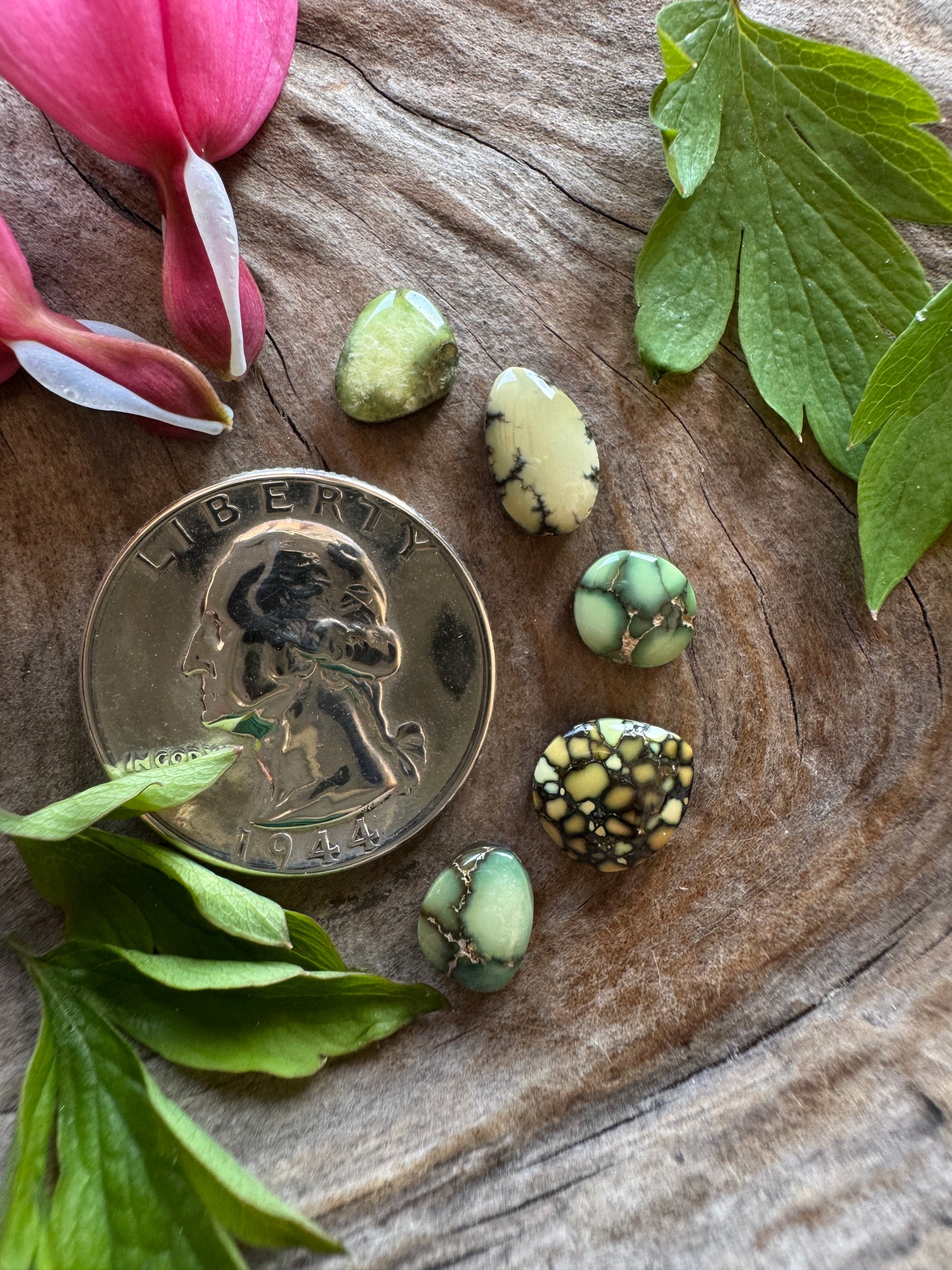 Natural Damele Variscite Lot- bonker baby nuggets