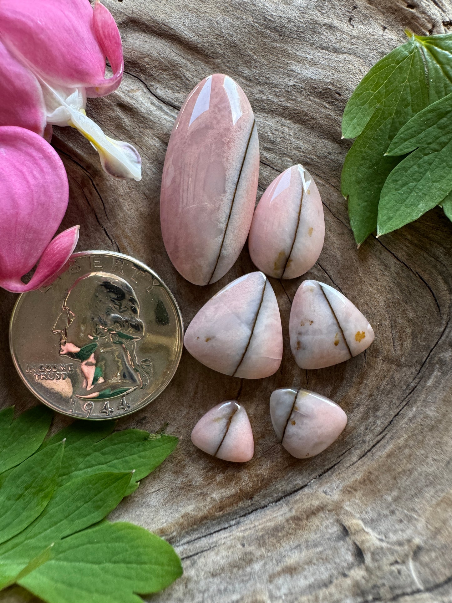 Oregon Sunset Jasper - pinnnnnk sextuplet (same chunk)