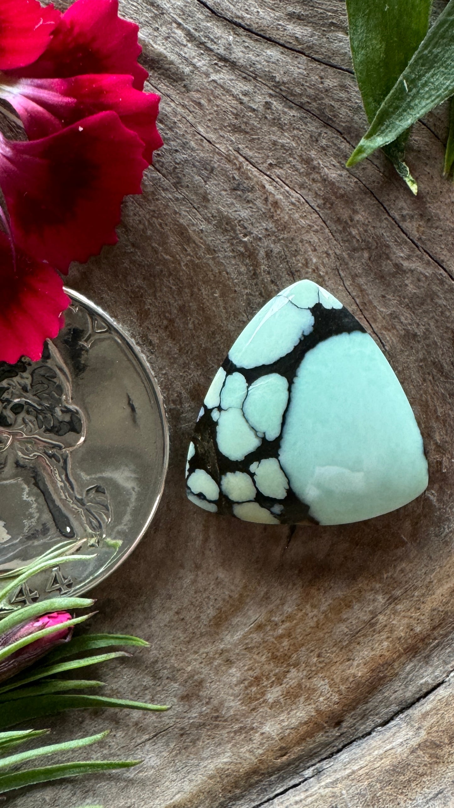 Ultra High Grade Desert Bloom (black)