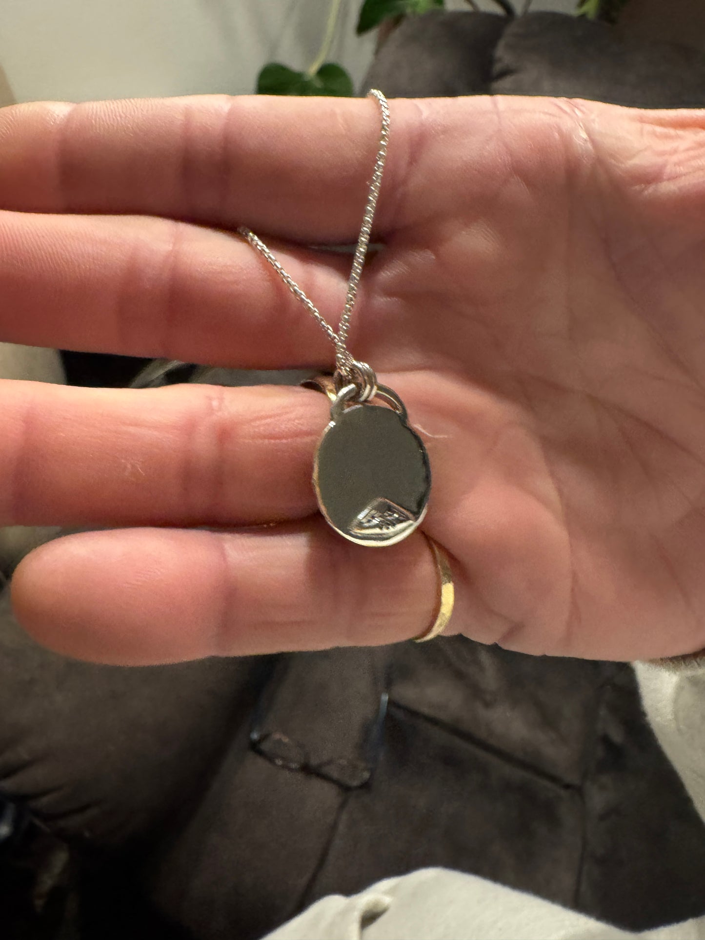 Oregon's Van Deusen Jasper Necklace