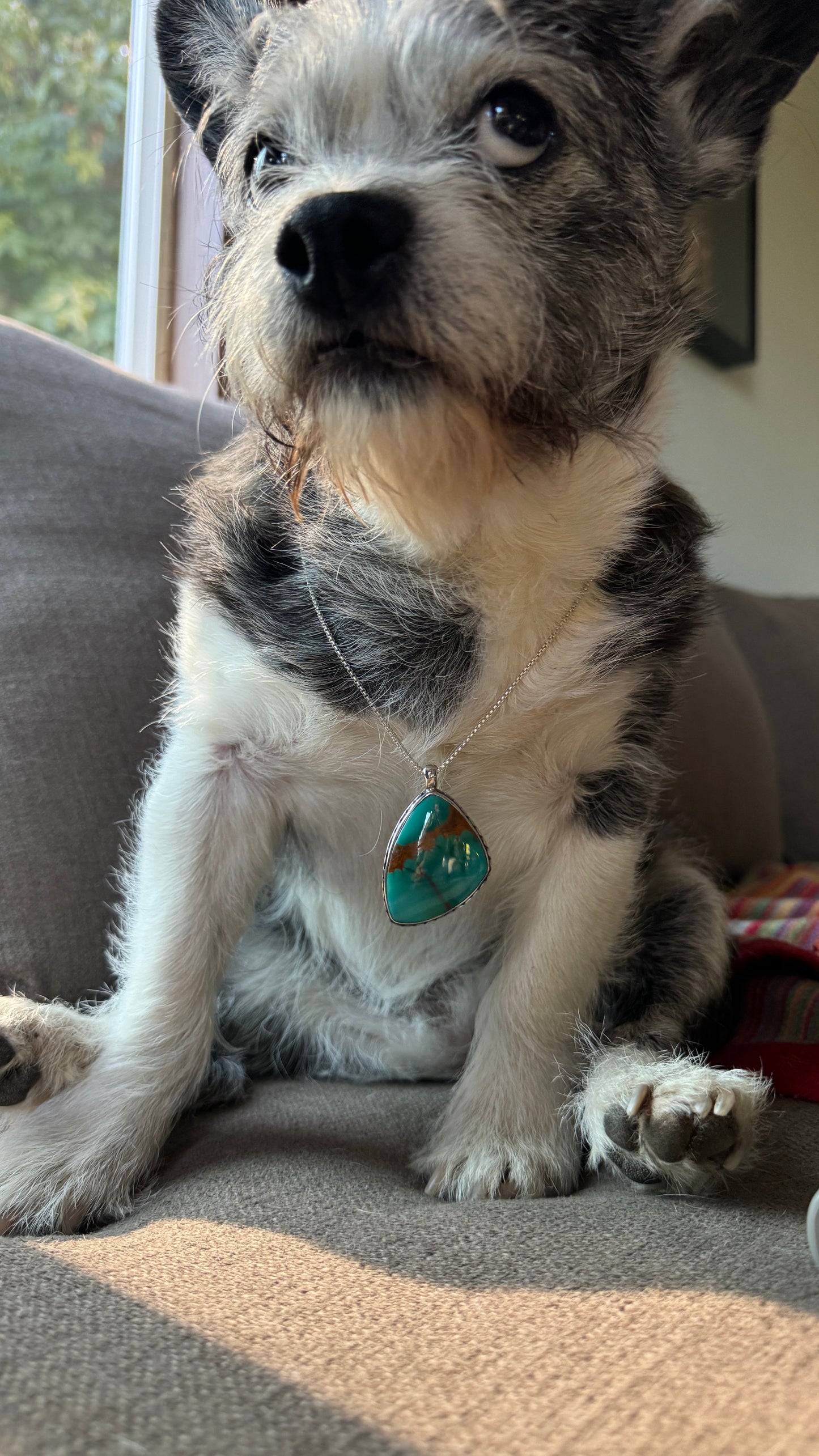 Top Shelf Royston Turquoise - Nevada Necklace