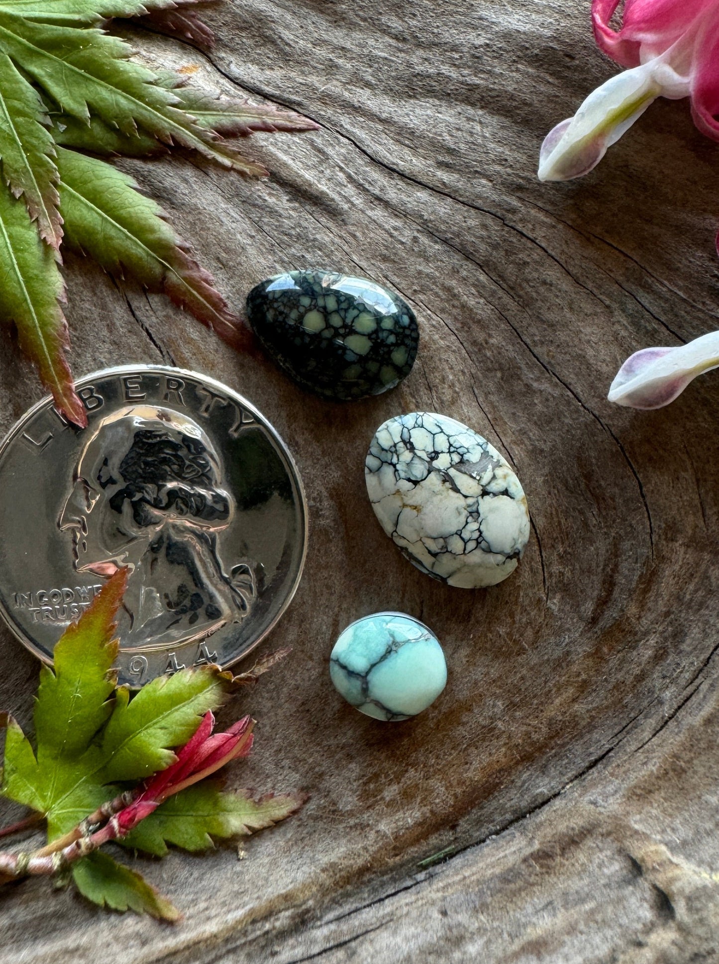 Vista Grande/Damele/Calypso Trio