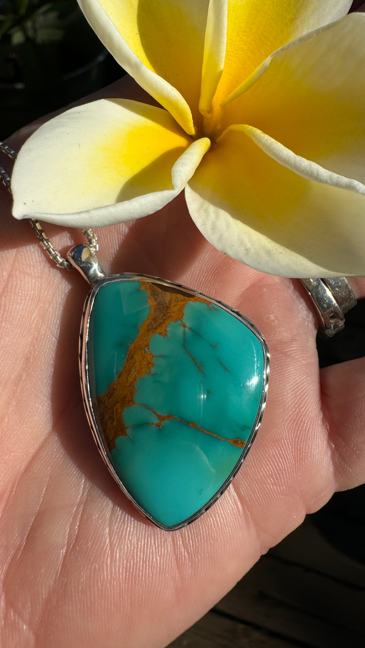 Top Shelf Royston Turquoise - Nevada Necklace