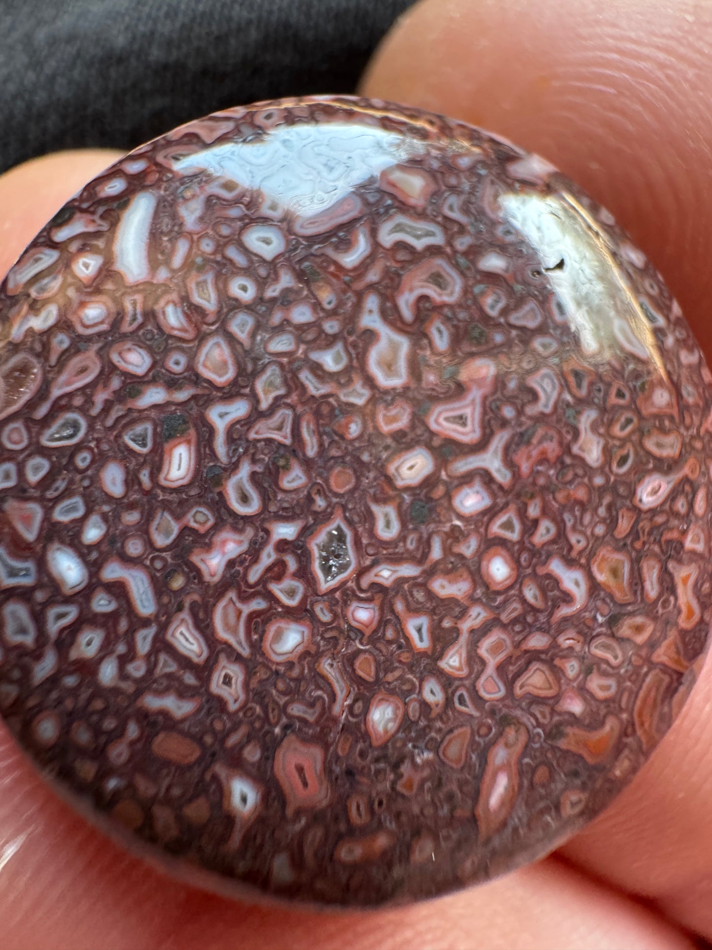 Dino Gem Bone - pinkish/reddish/white/druzy