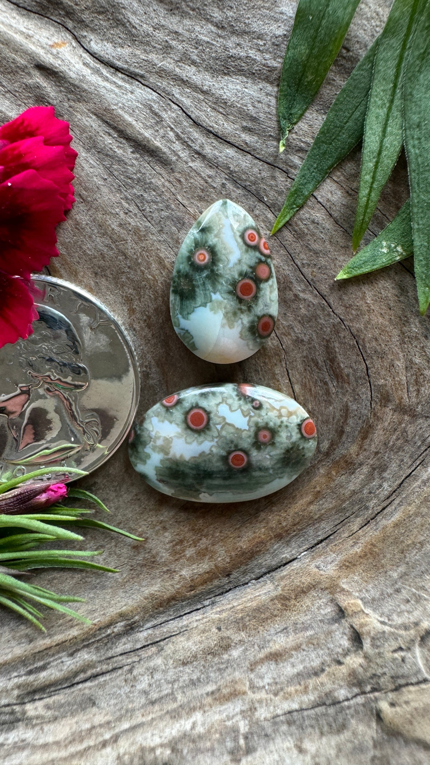 Ocean Jasper Duo SOOO GOOD