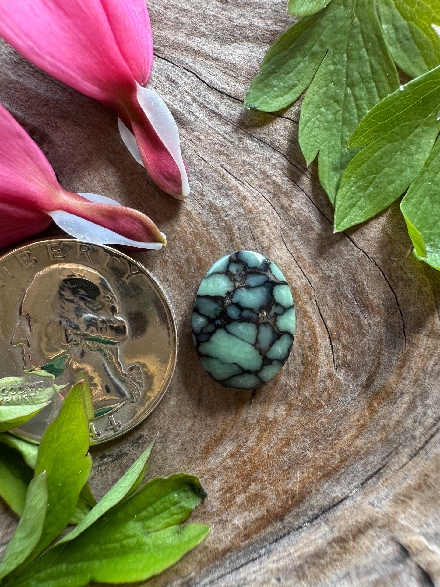 100% NATURAL/unaltered Desert Bloom Variscite