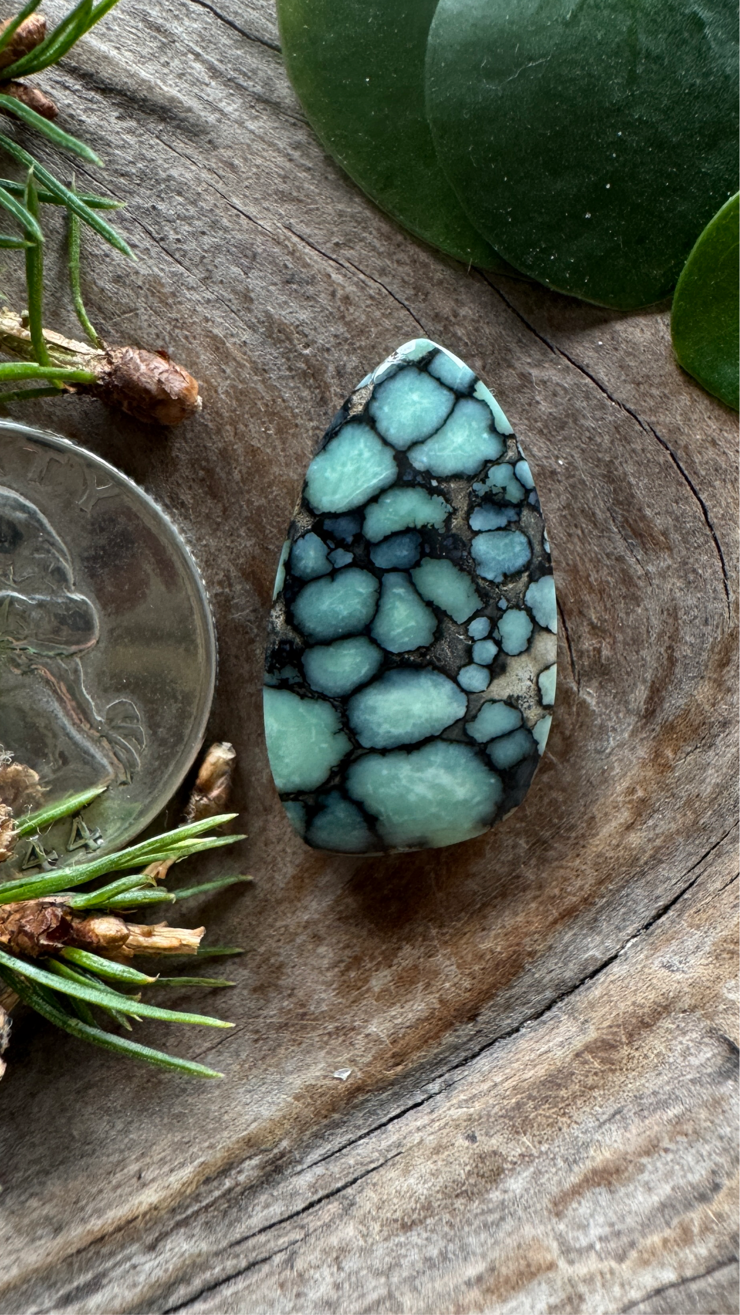 Desert Bloom Variscite - Top shelf, all natural