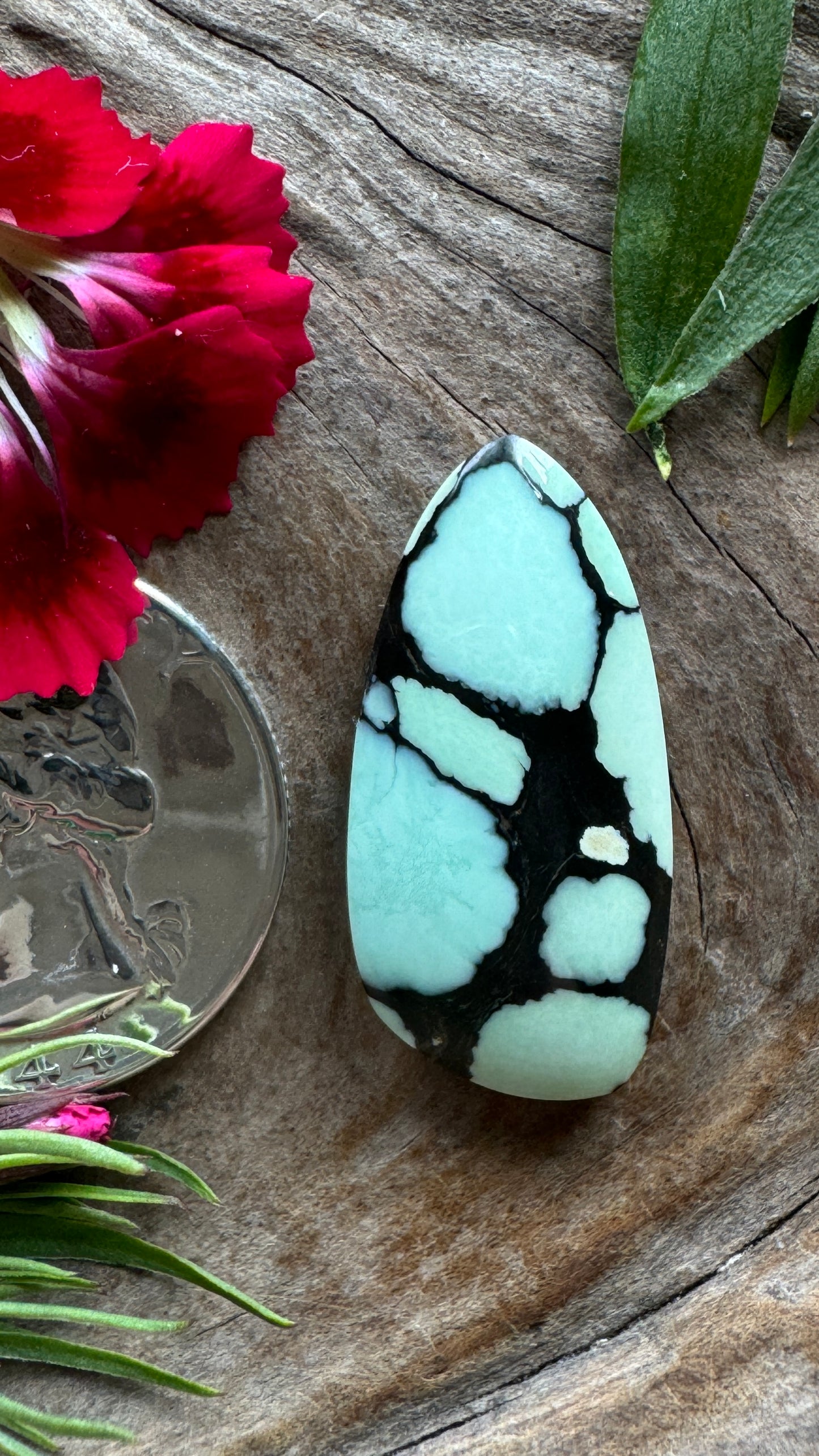 Ultra High Grade Desert Bloom (black)BIG
