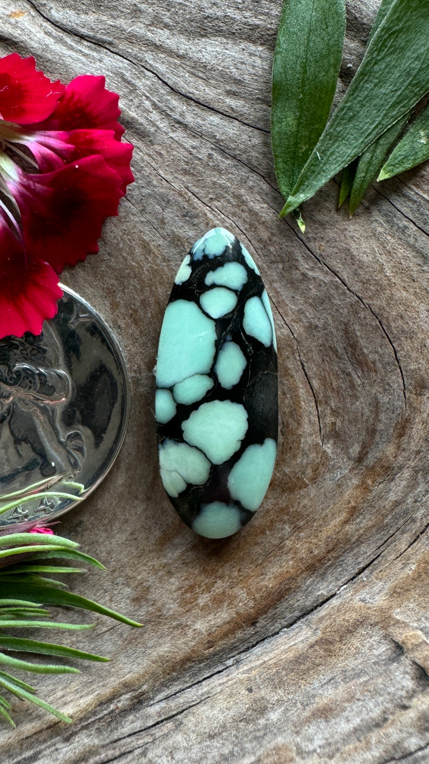 Ultra High Grade Desert Bloom (black)BIG