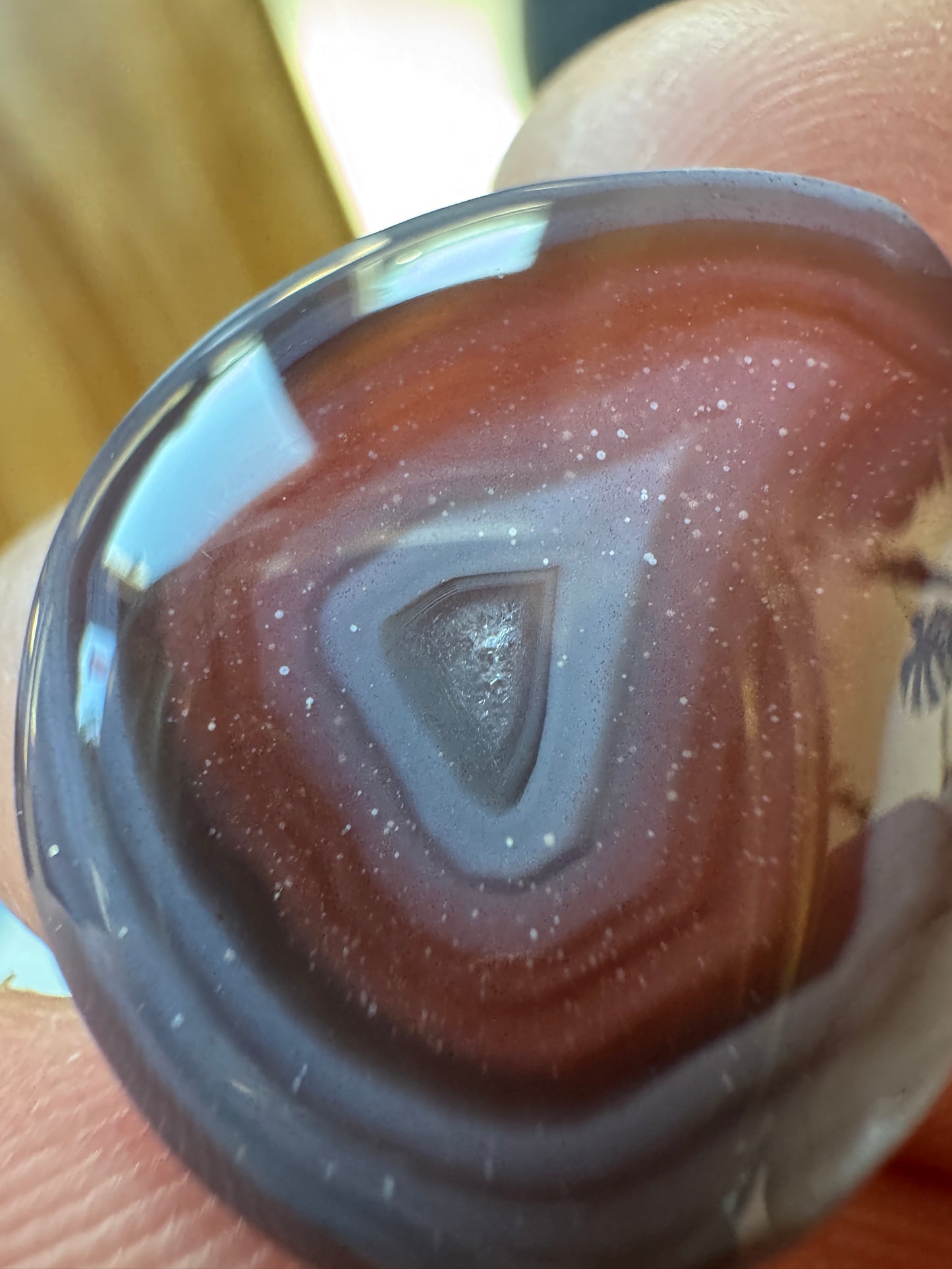 Brazilian Agate