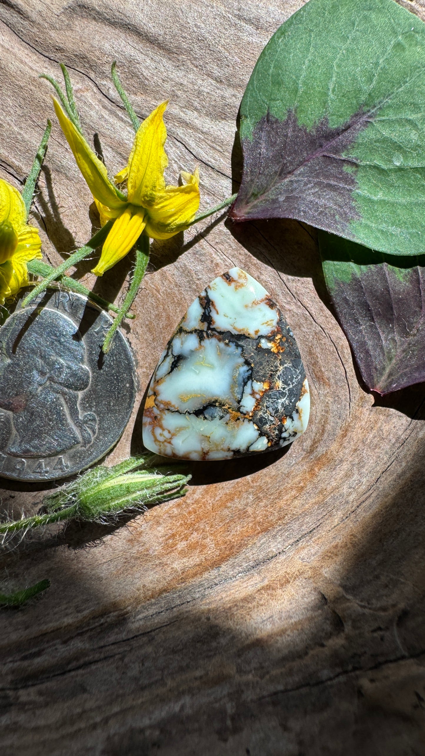 Saguaro Variscite