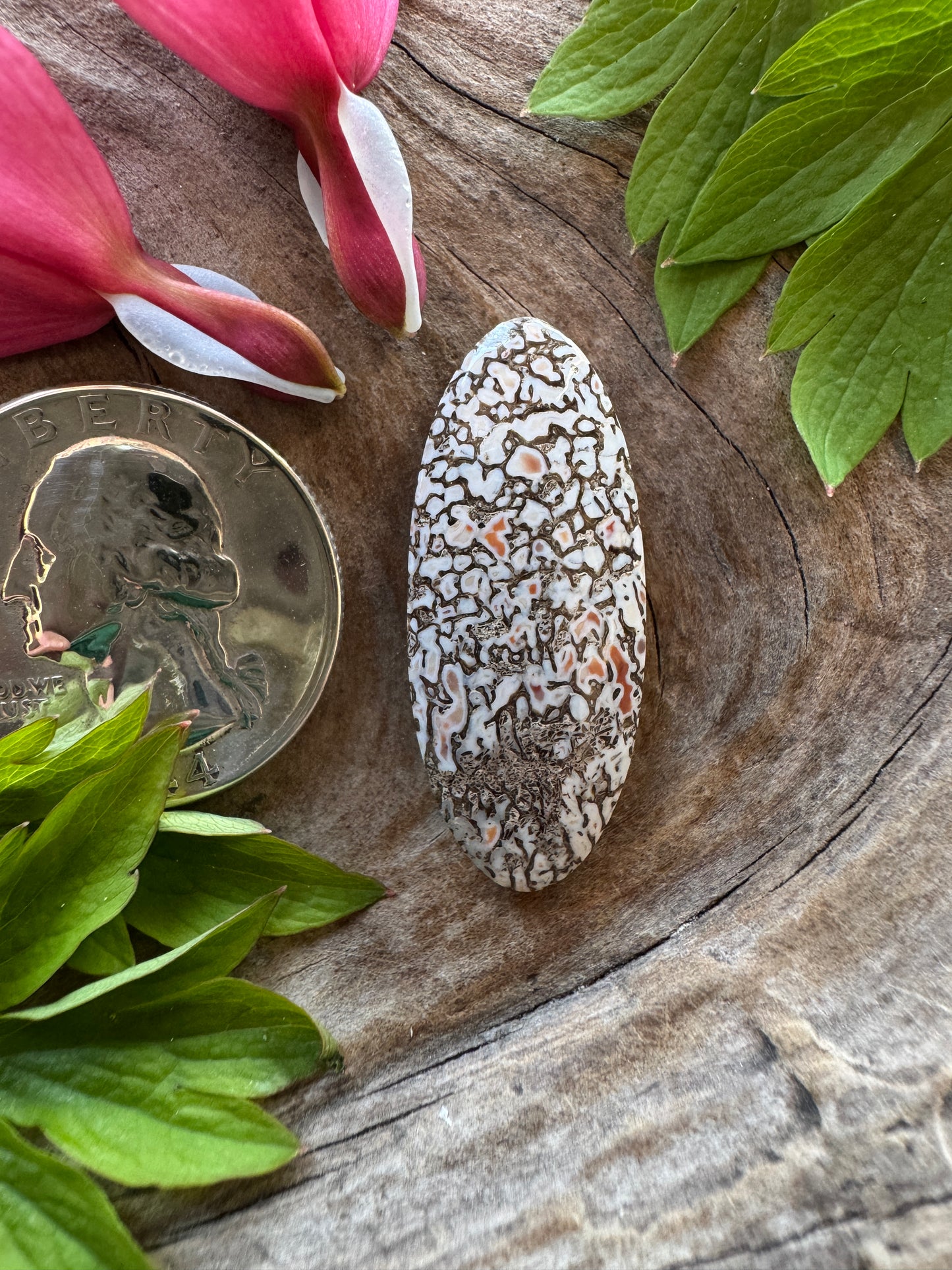 Dino Gem Bone - cool coloring!